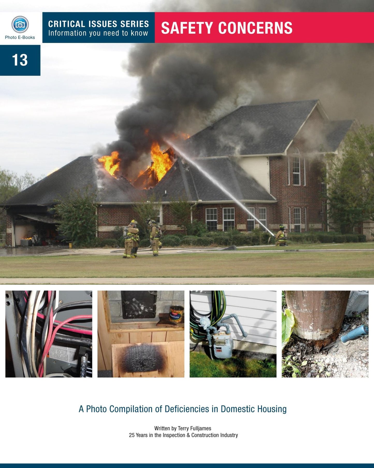 Safety Concerns: book # 13 Critical Issues Series