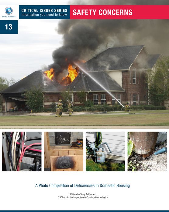 Safety Concerns: book # 13 Critical Issues Series