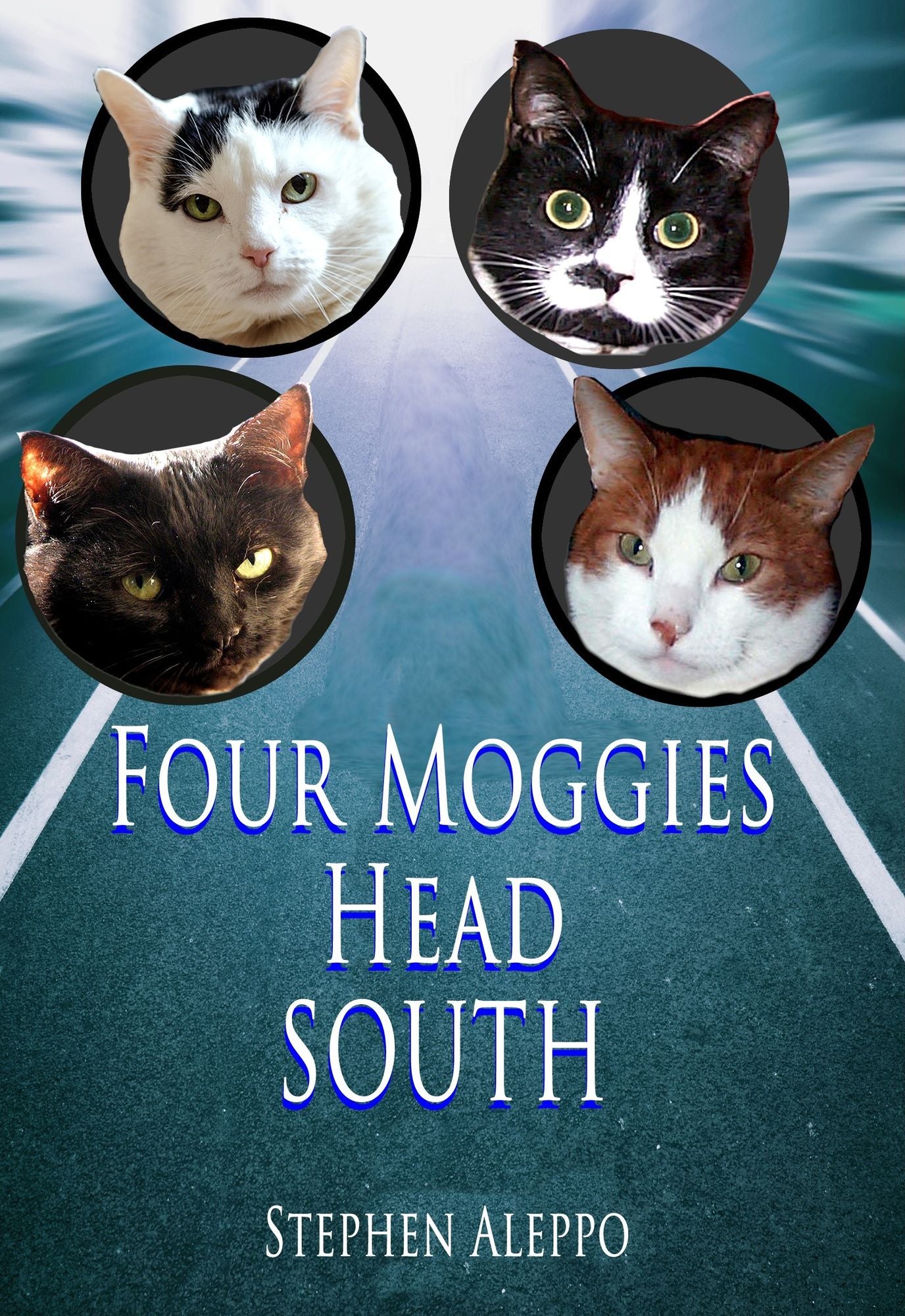 Four Moggies Head South