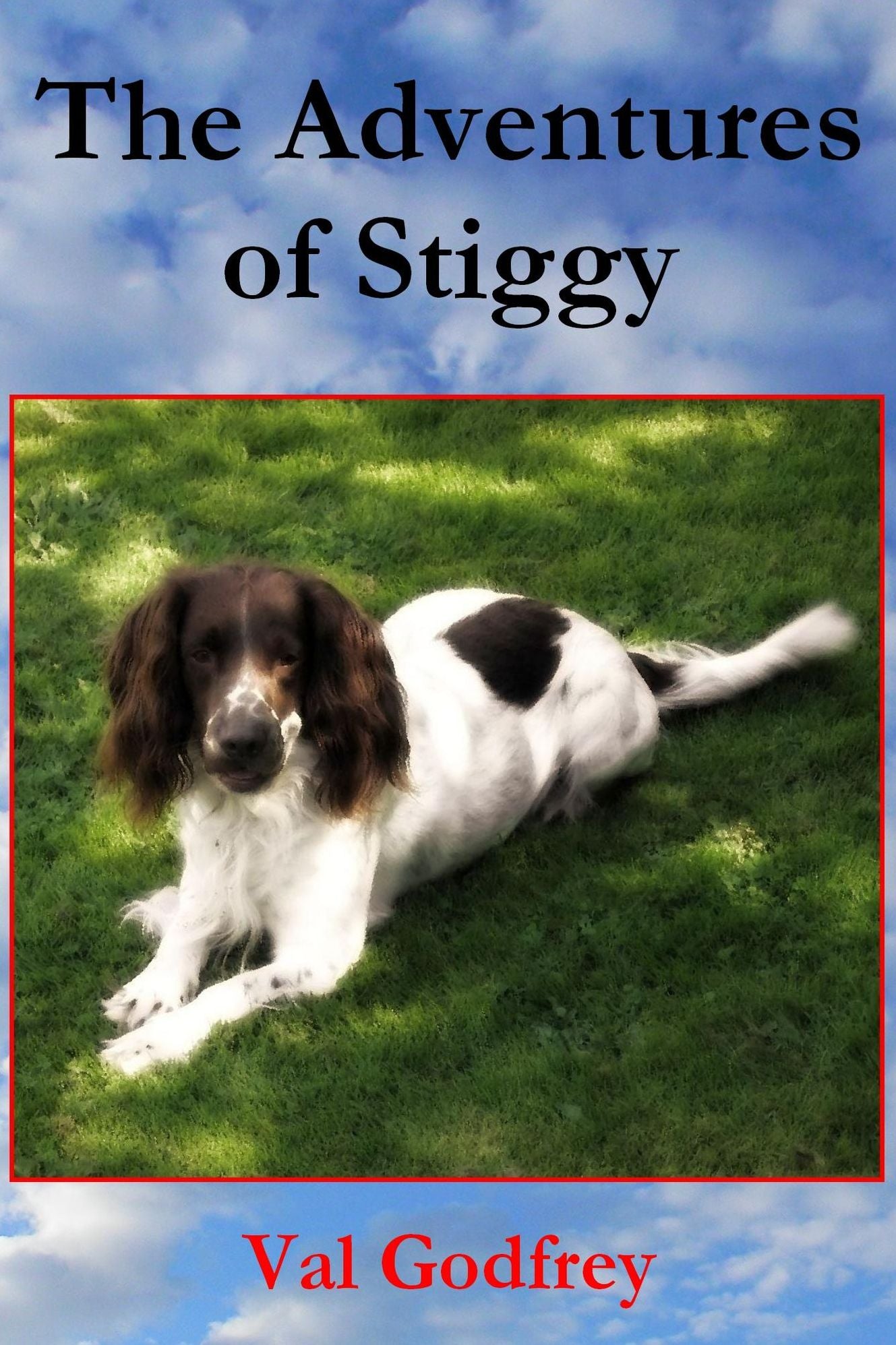 The Adventures of Stiggy