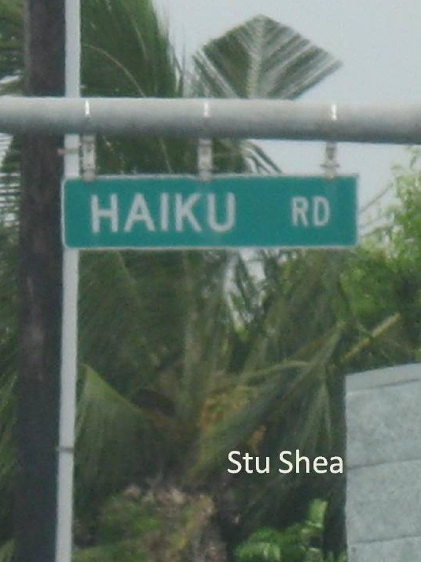 Haiku Road