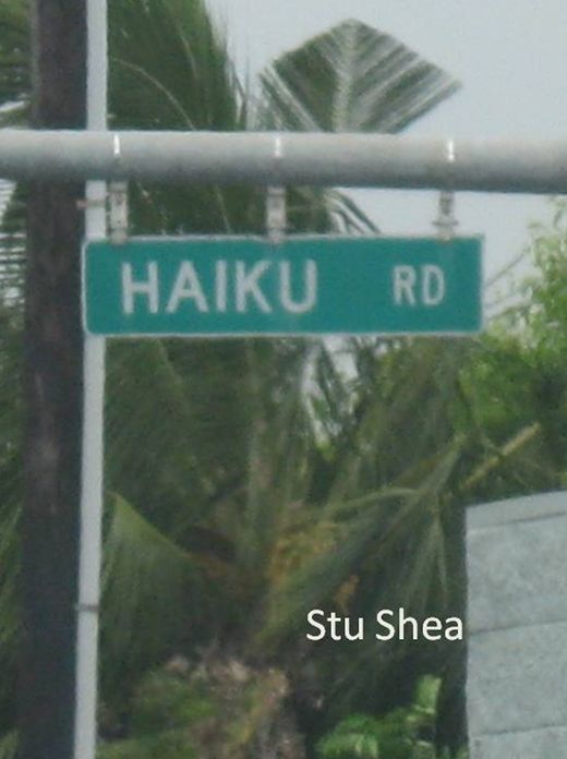 Haiku Road