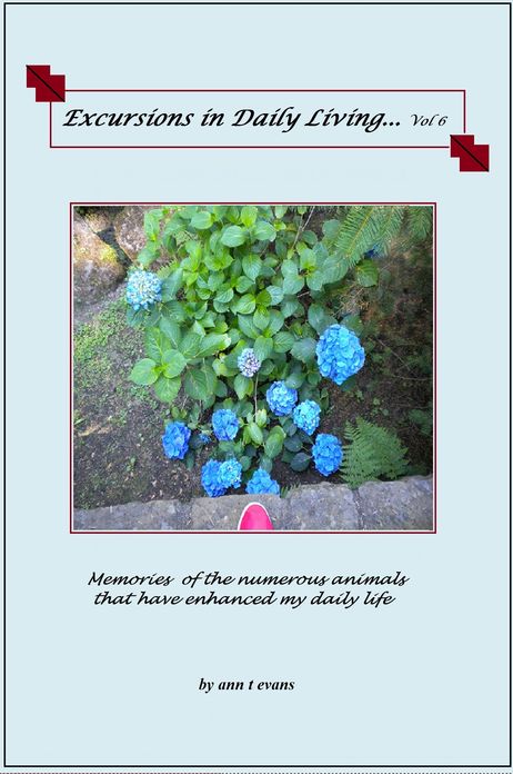 Excursions in Daily Living... Vol 6