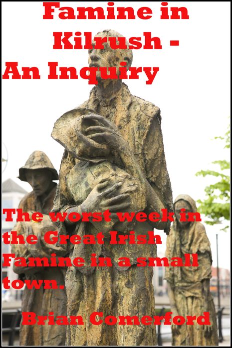 Famine in Kilrush: An Inquiry