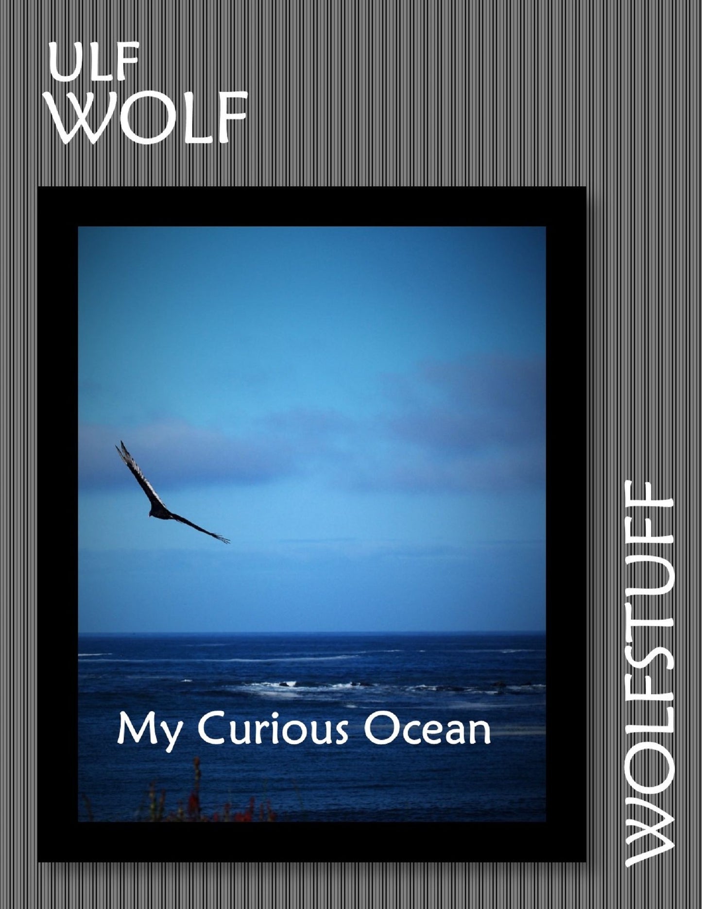 My Curious Ocean