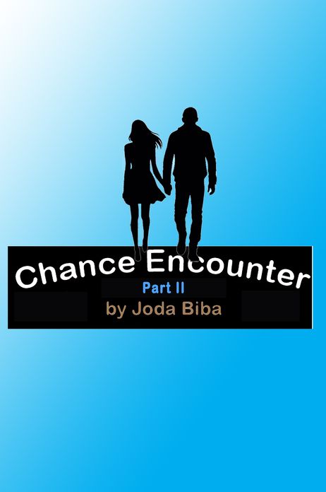 Chance Encounter: Part II