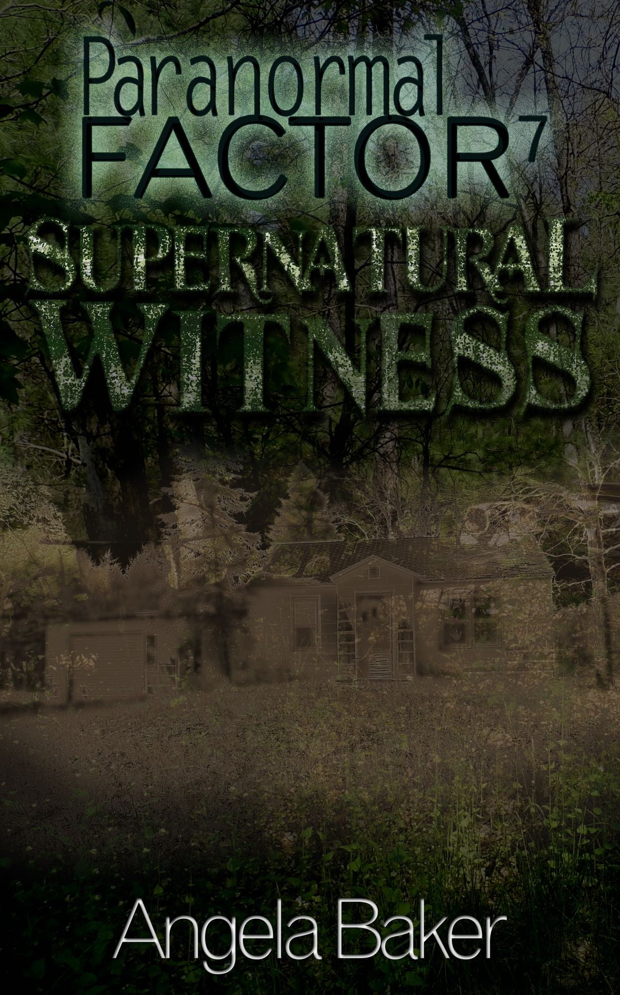 Paranormal Factor: Supernatural Witness 7