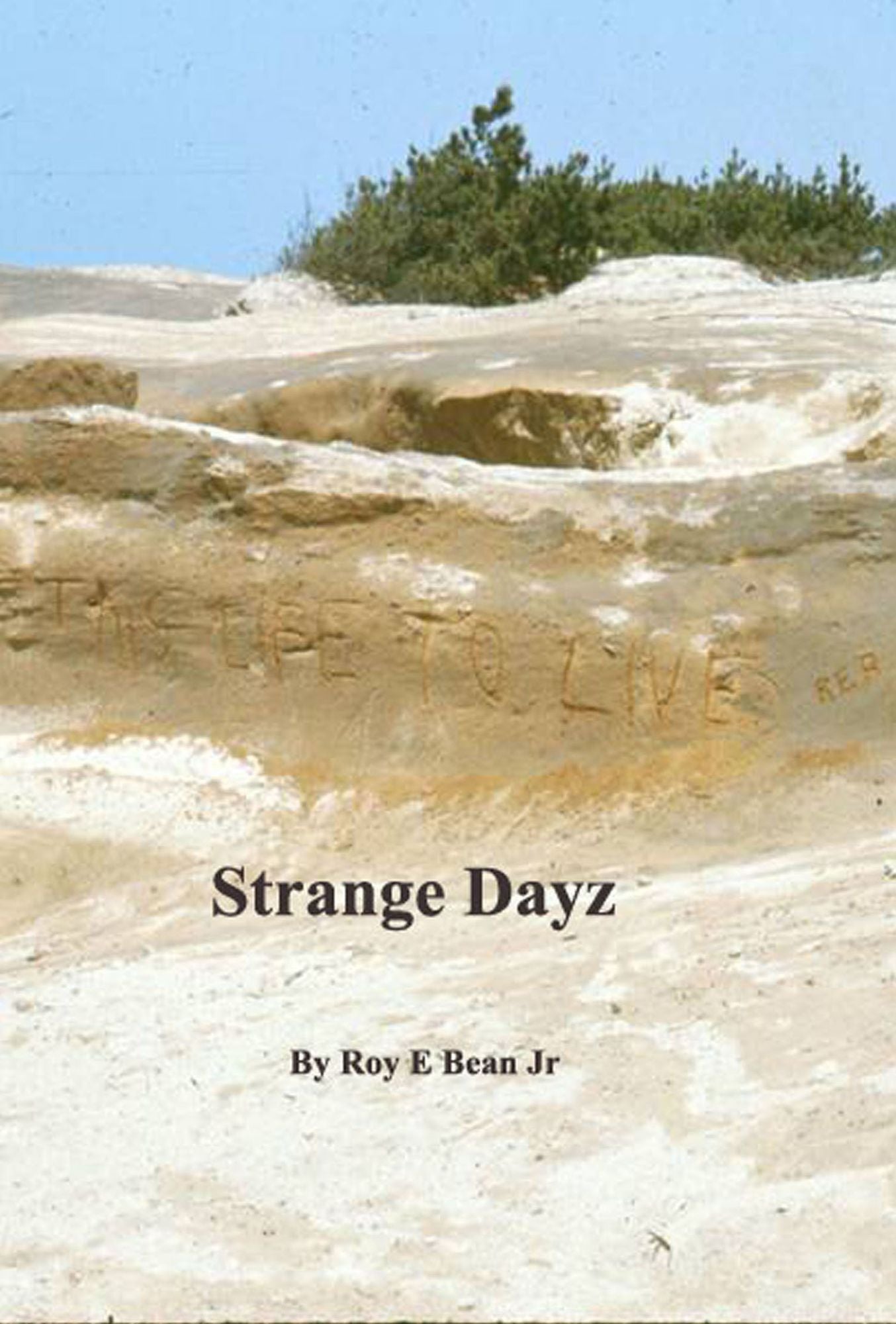Strange Dayz