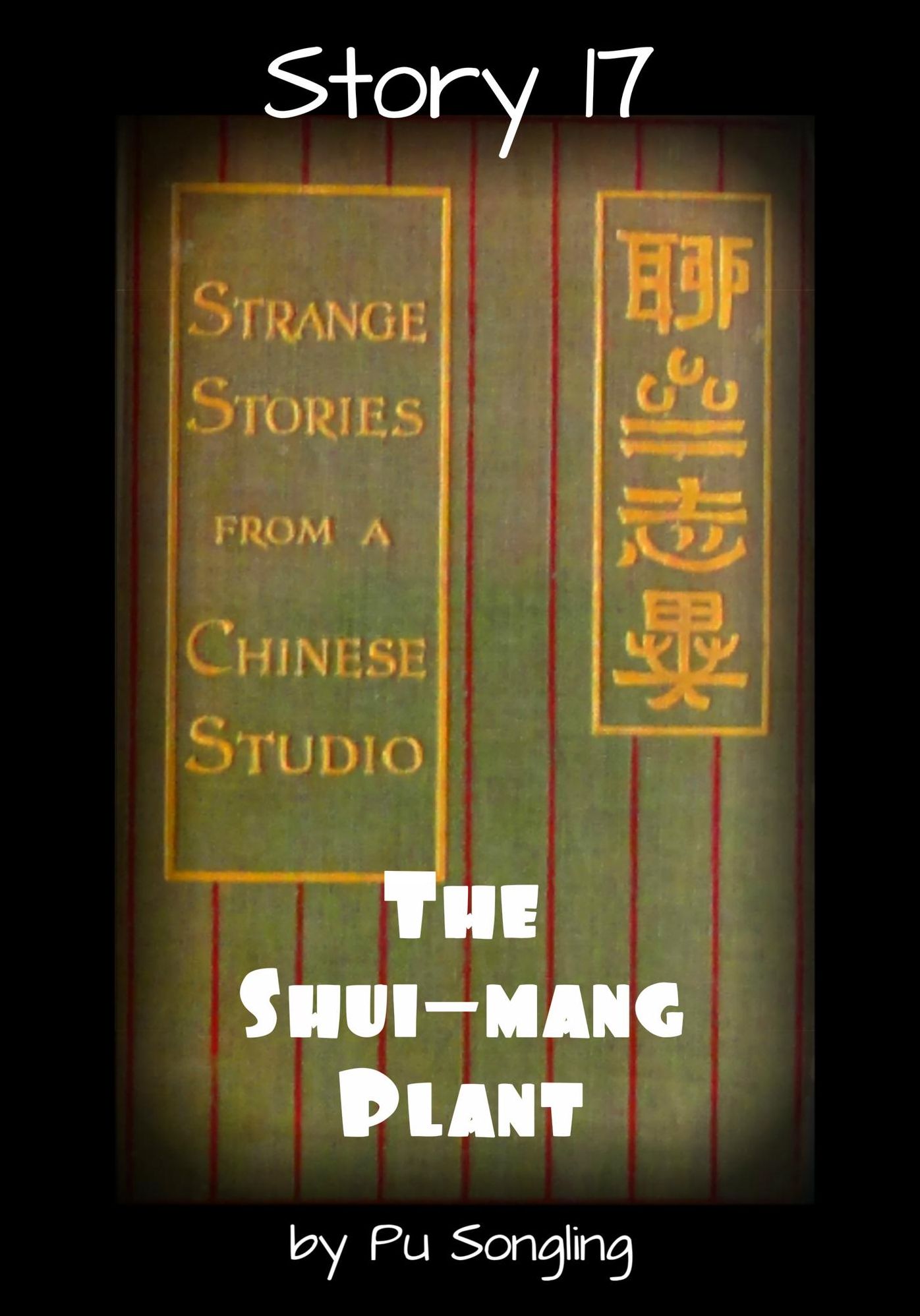 Story 17: The Shui-Mang Plant