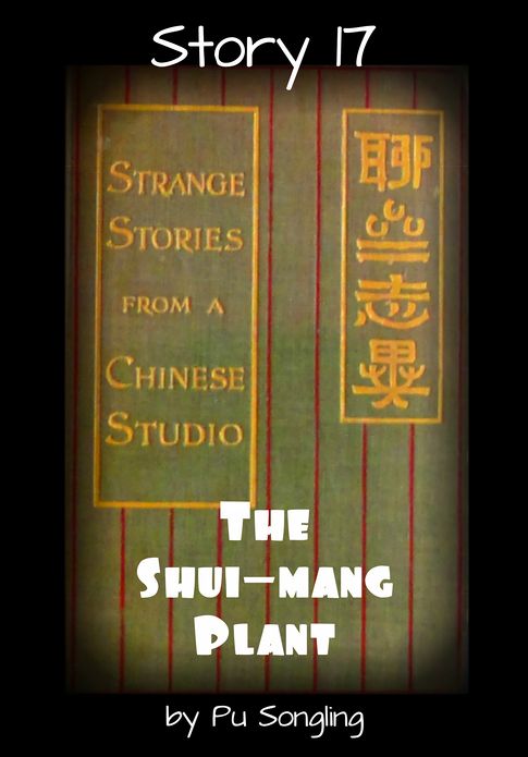 Story 17: The Shui-Mang Plant