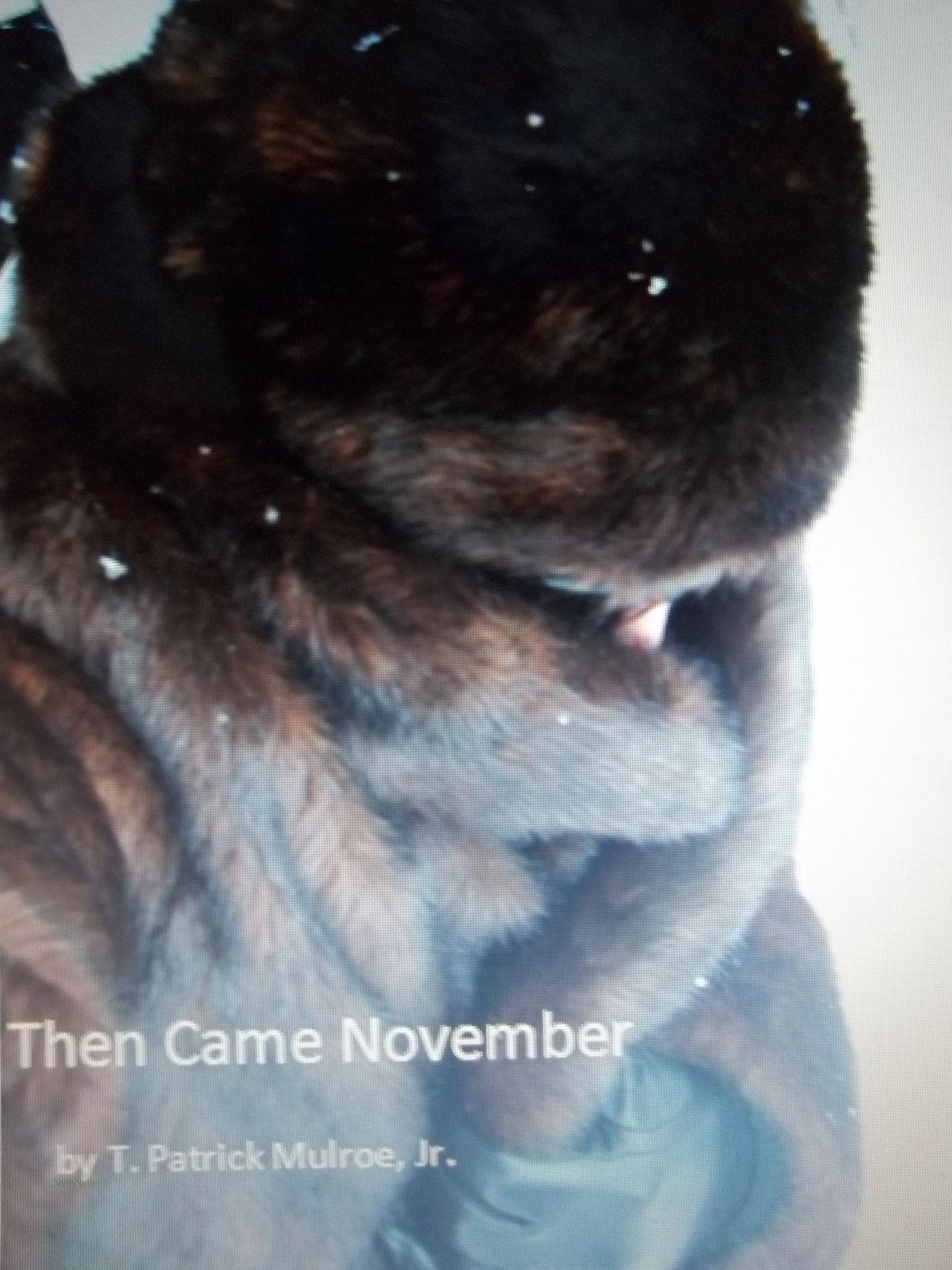 Then Came November