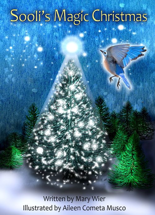 Sooli's Magic Christmas