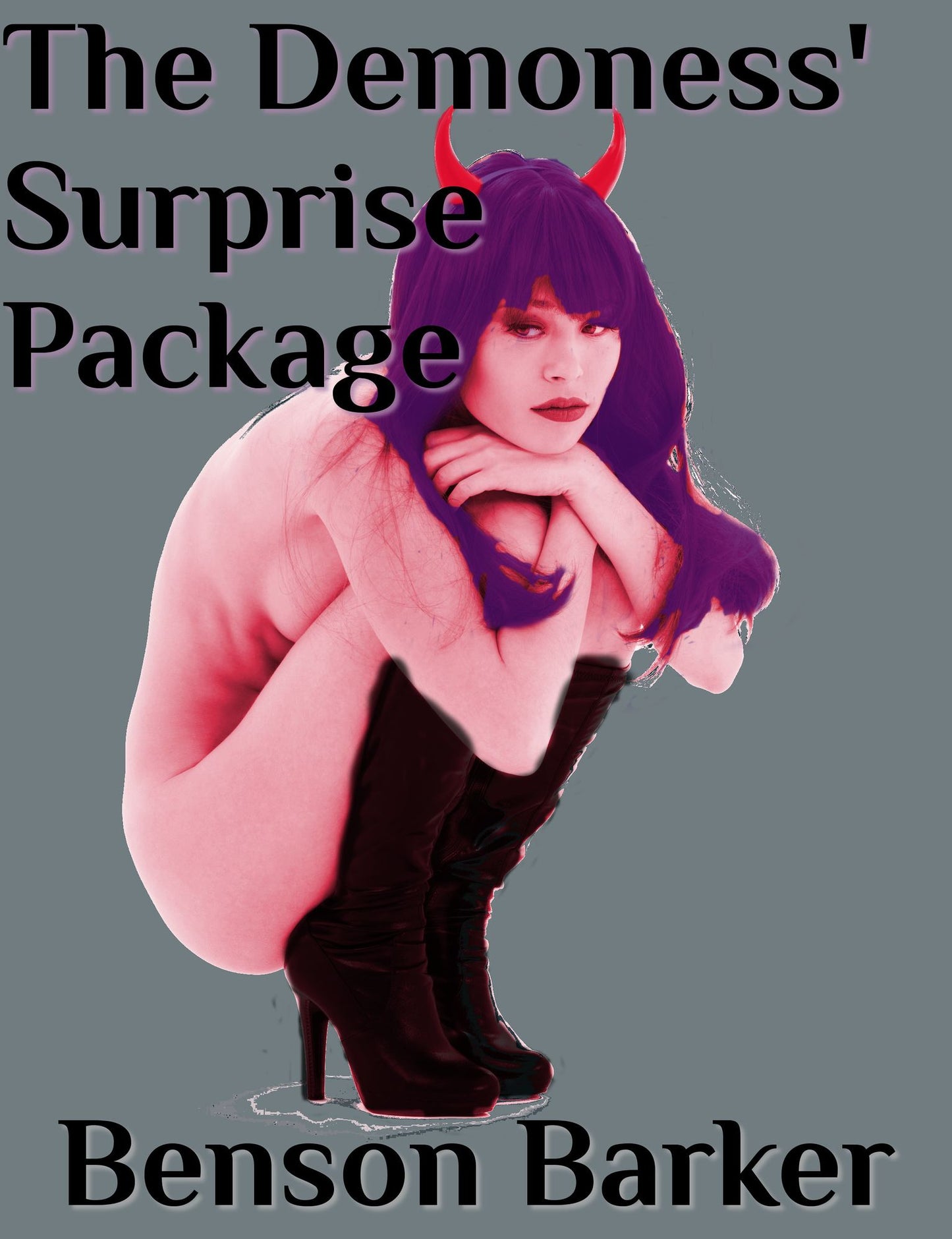 The Demoness' Surprise Package