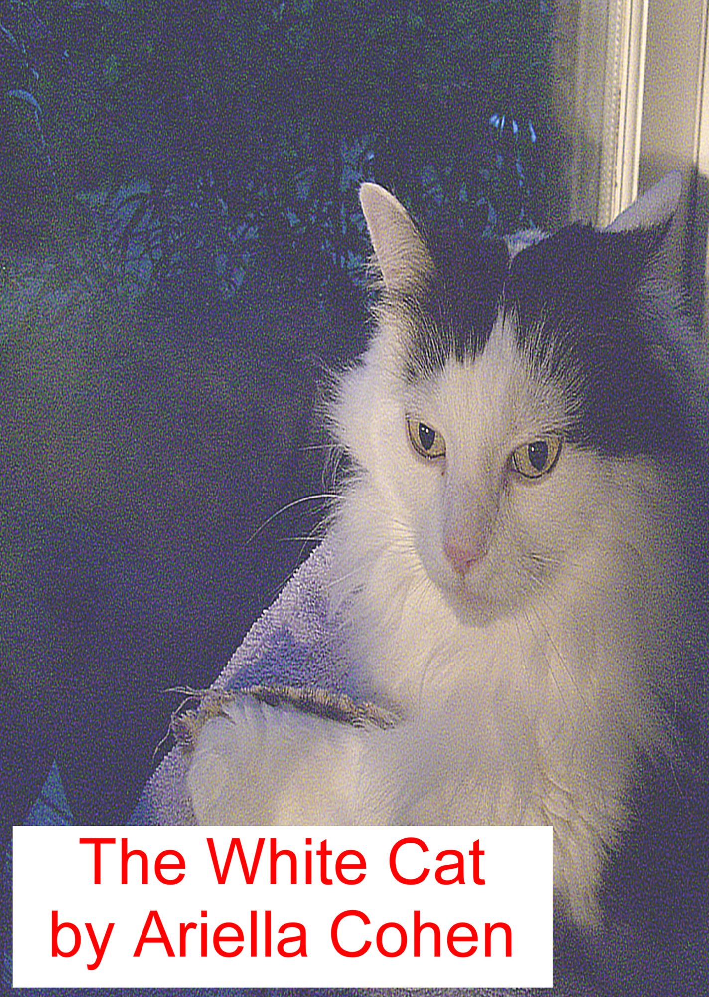 The White Cat