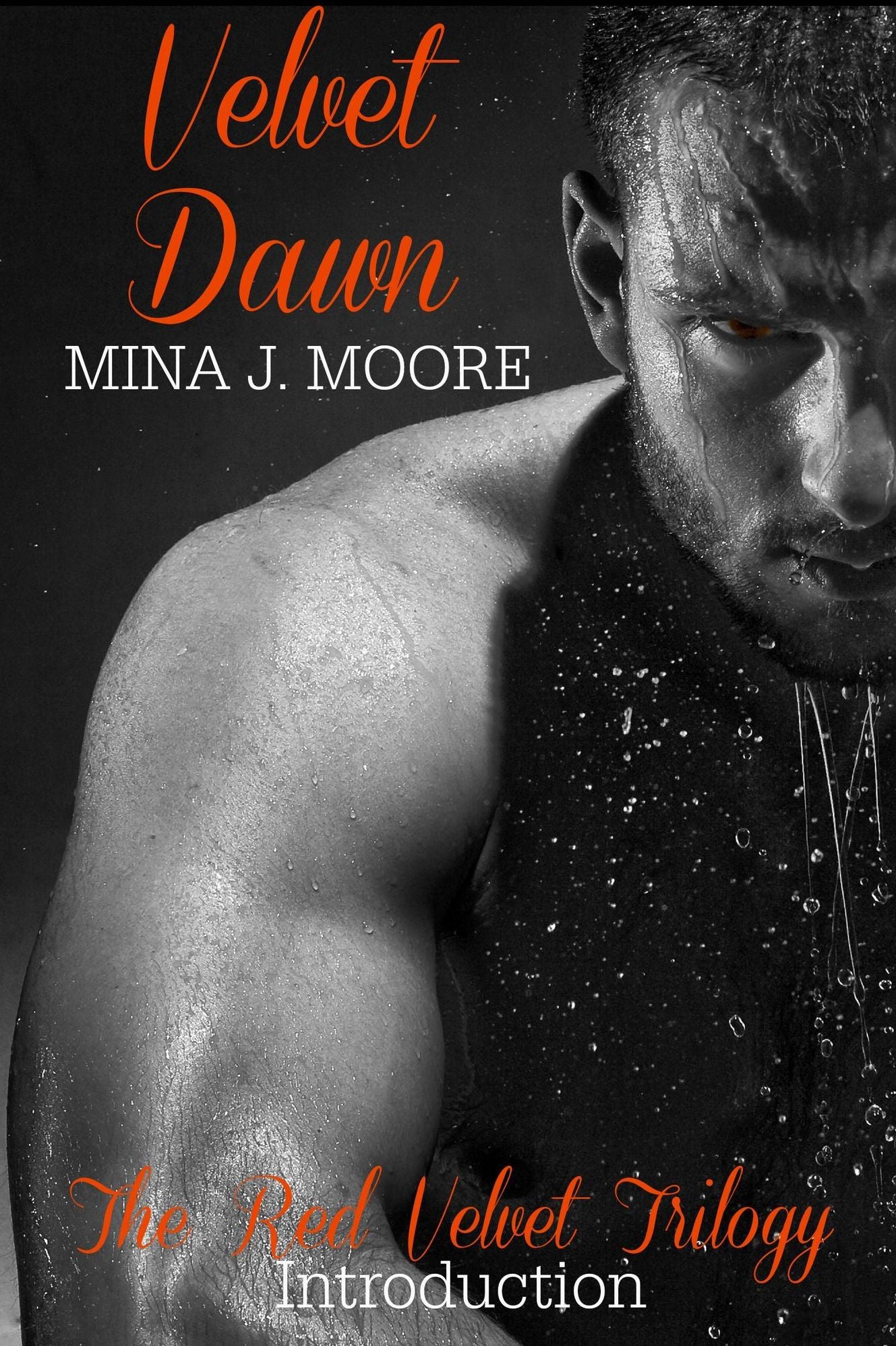 Velvet Dawn (The Red Velvet Trilogy)
