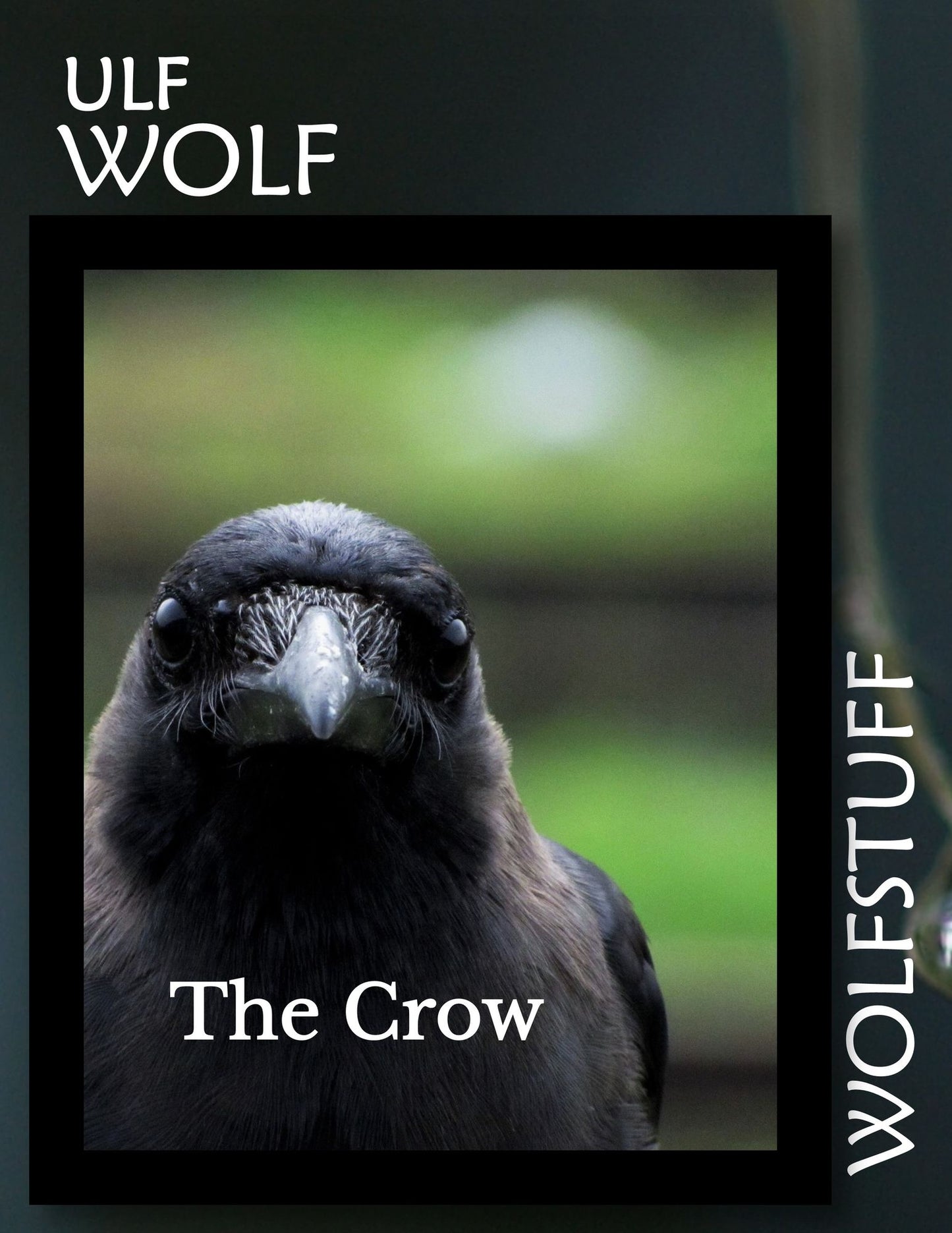 The Crow