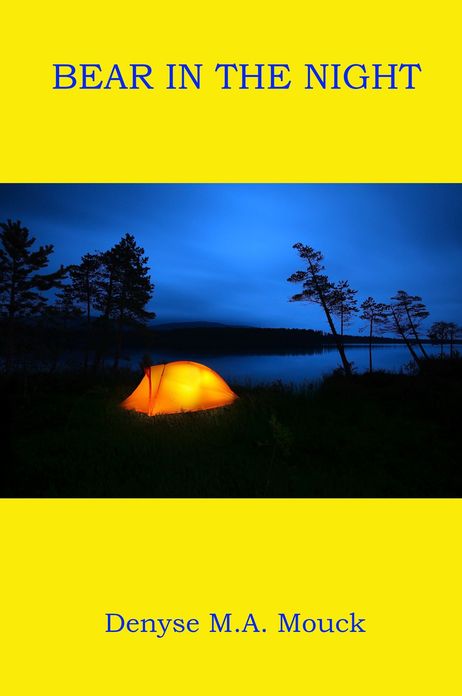 Bear in the Night