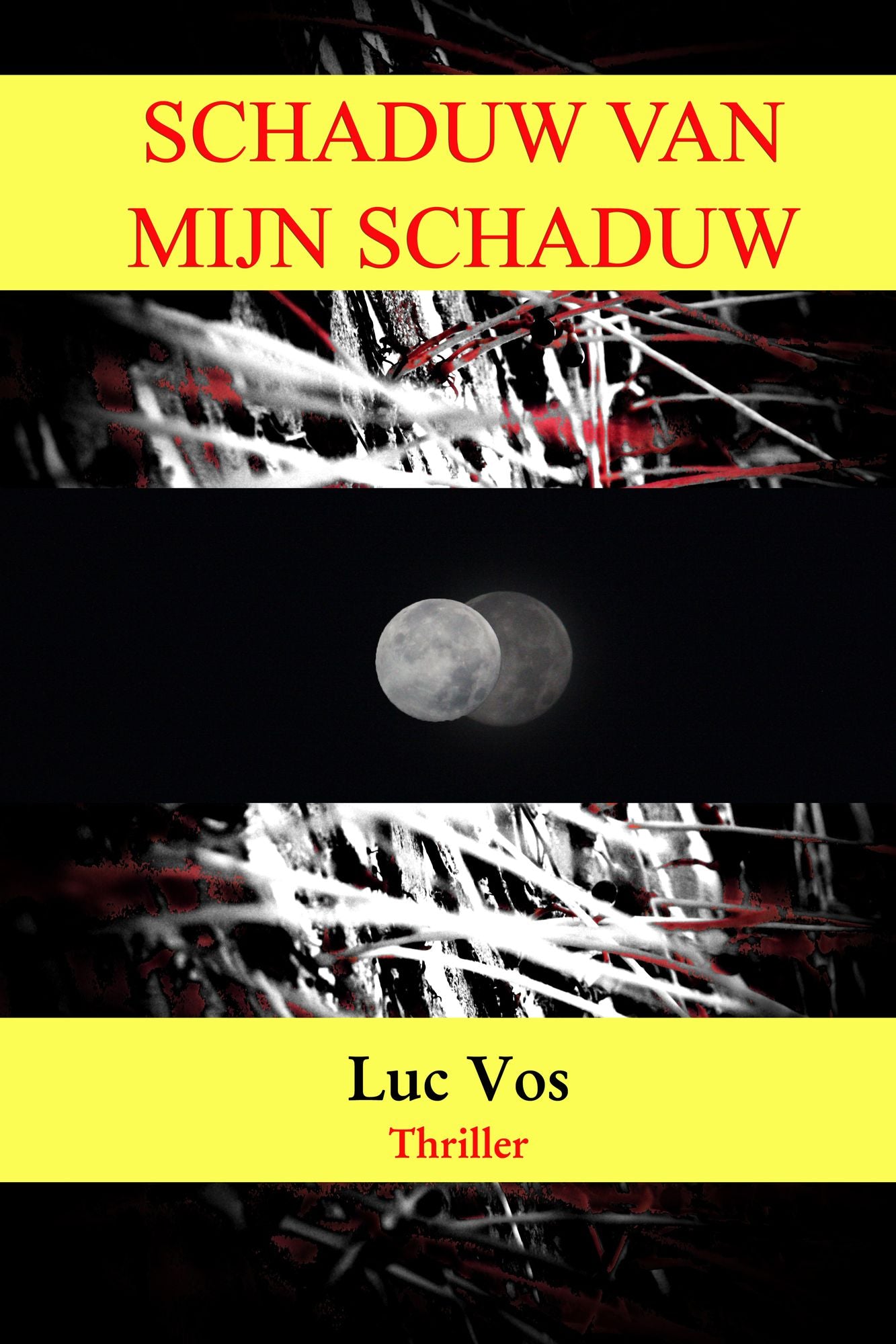 Schaduw van mijn Schaduw