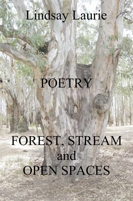 Forest, Stream, and Open Spaces