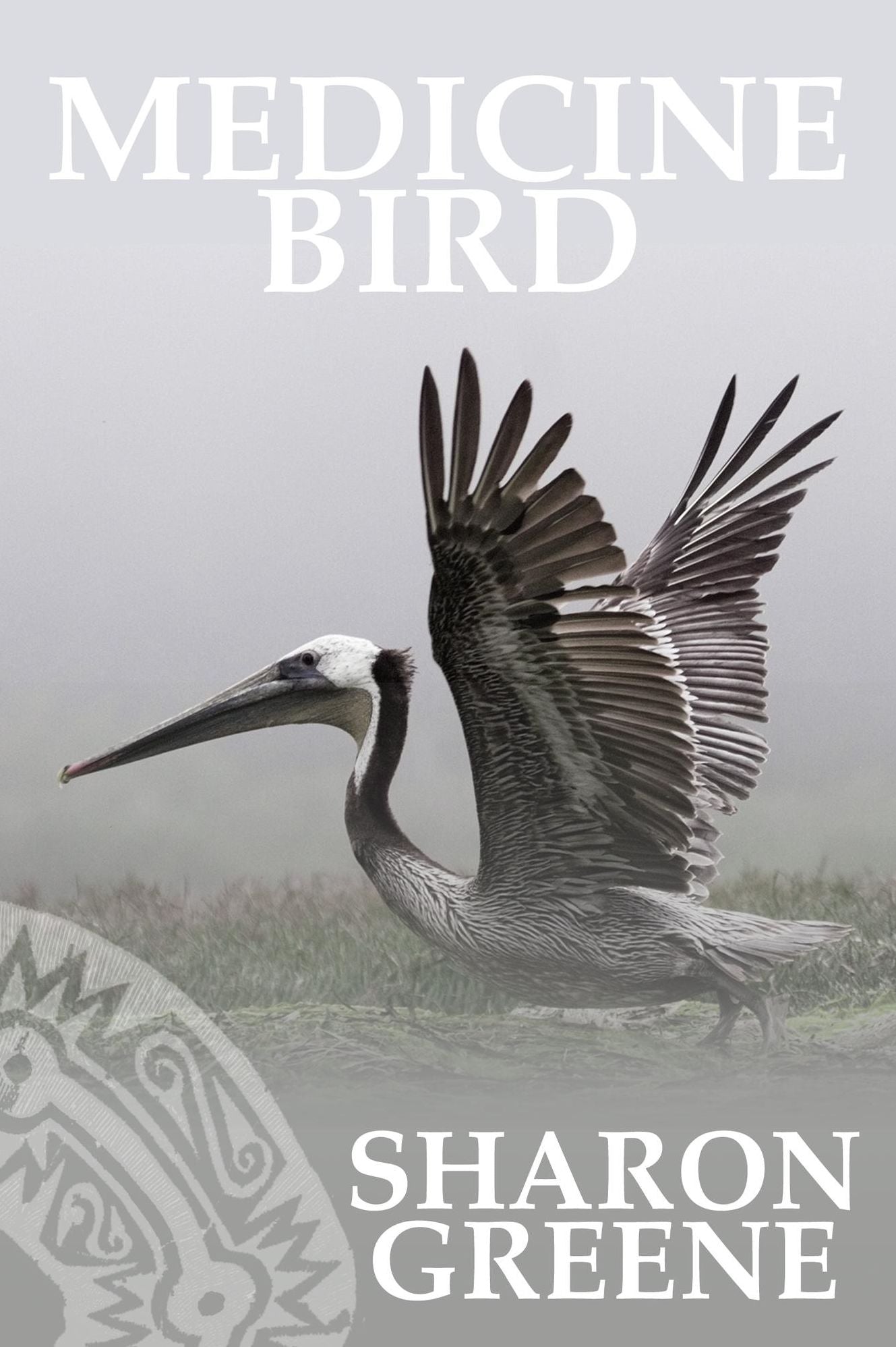 Medicine Bird