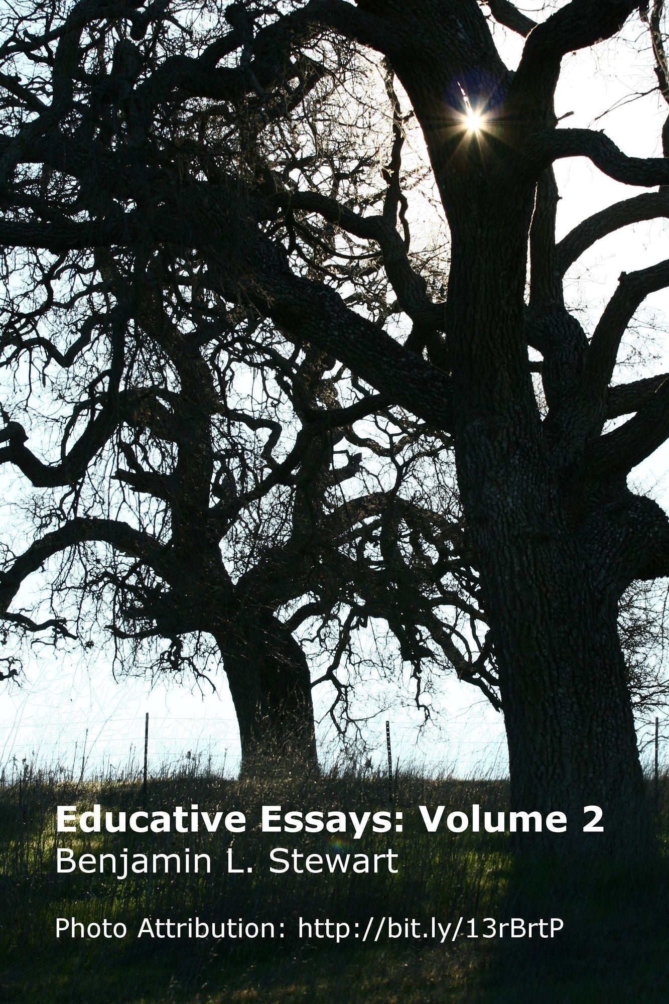 Educative Essays: Volume 2