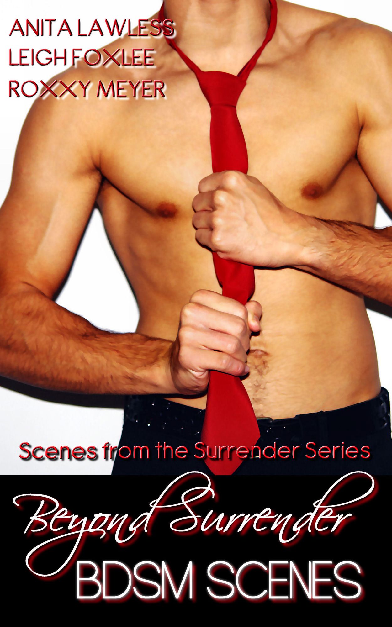 Beyond Surrender: BDSM Scenes from the Surrender Series
