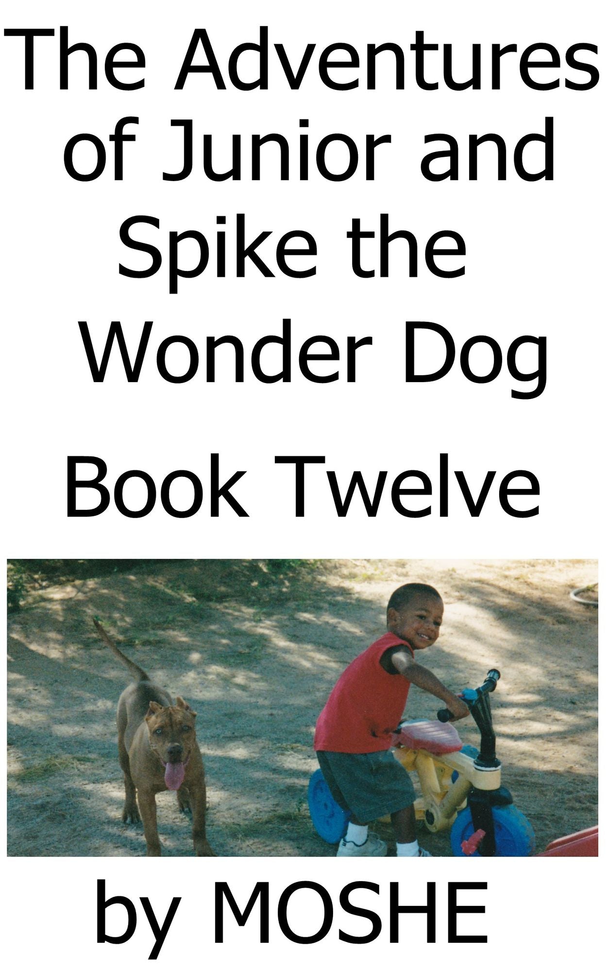 The Adventures of Junior and Spike the Wonder Dog. Book Twelve: Tubing