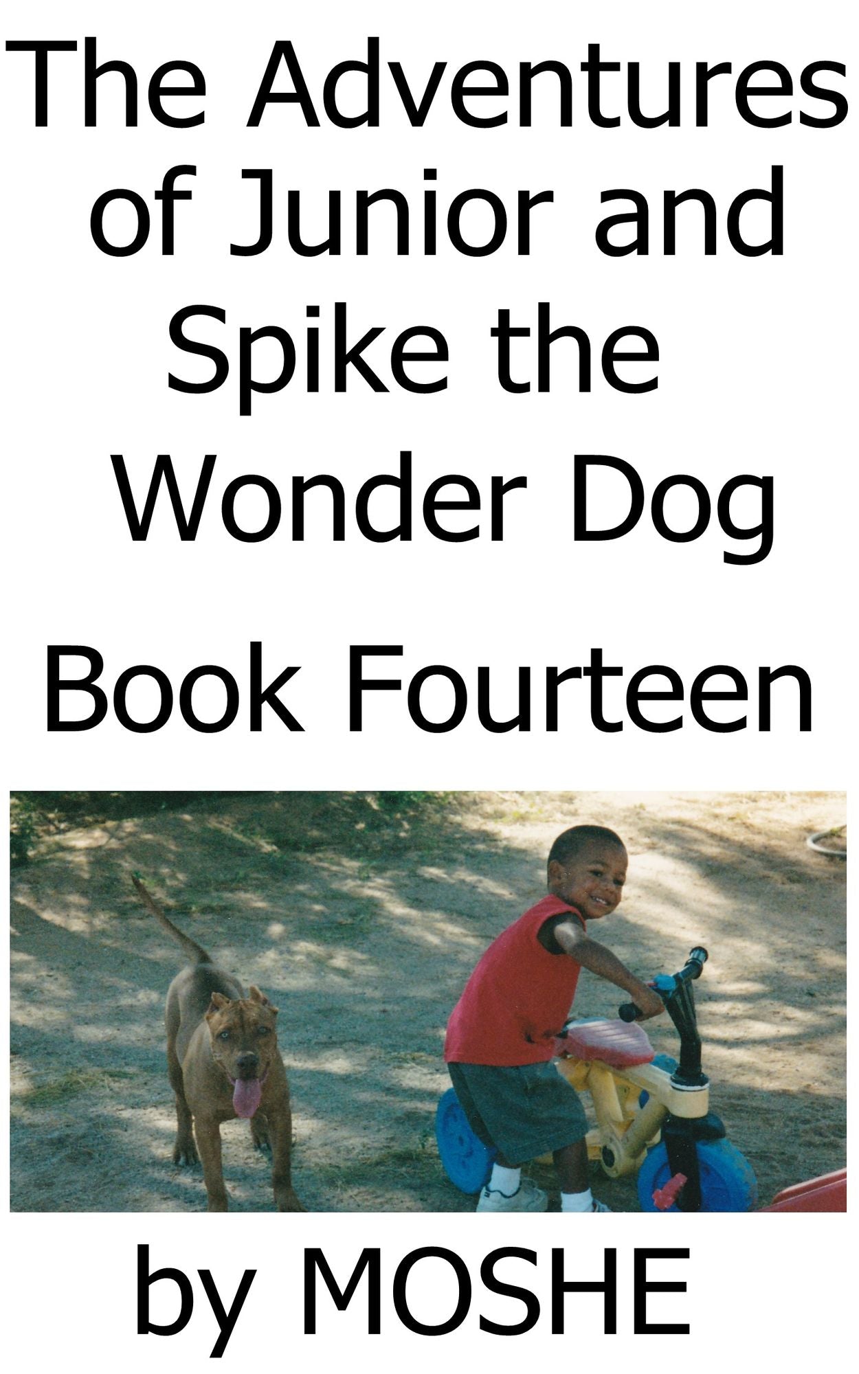 The Adventures of Junior and Spike the Wonder Dog. Book Fourteen: Mountain Climbing