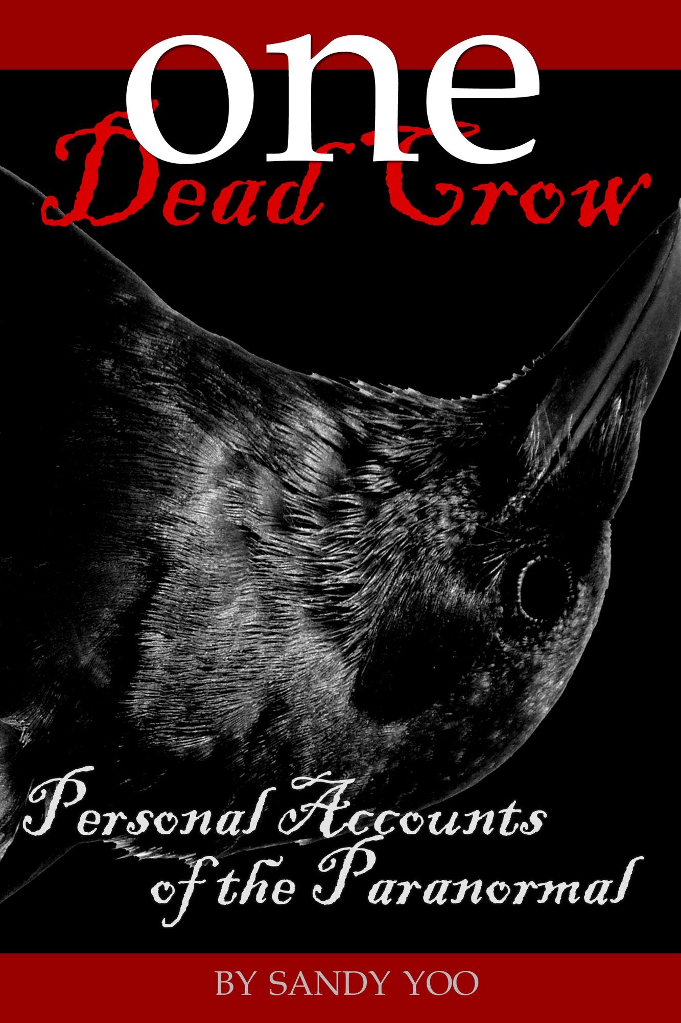 One Dead Crow: Personal Accounts of the Paranormal