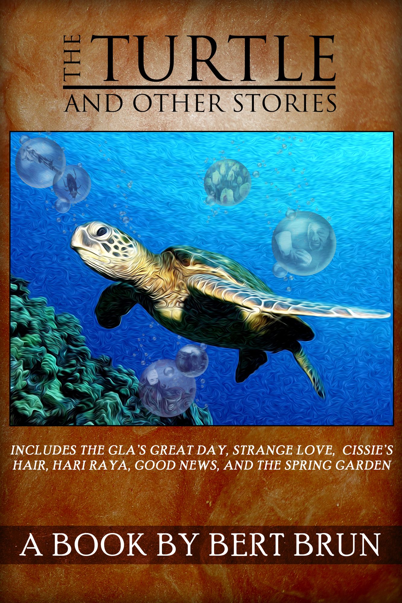 The Turtle and Other Stories by Bert Brun