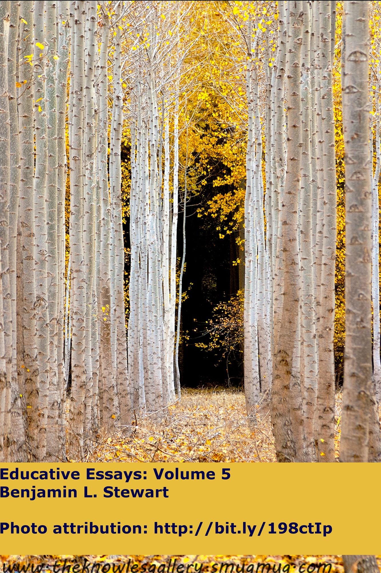 Education Essays: Volume 5