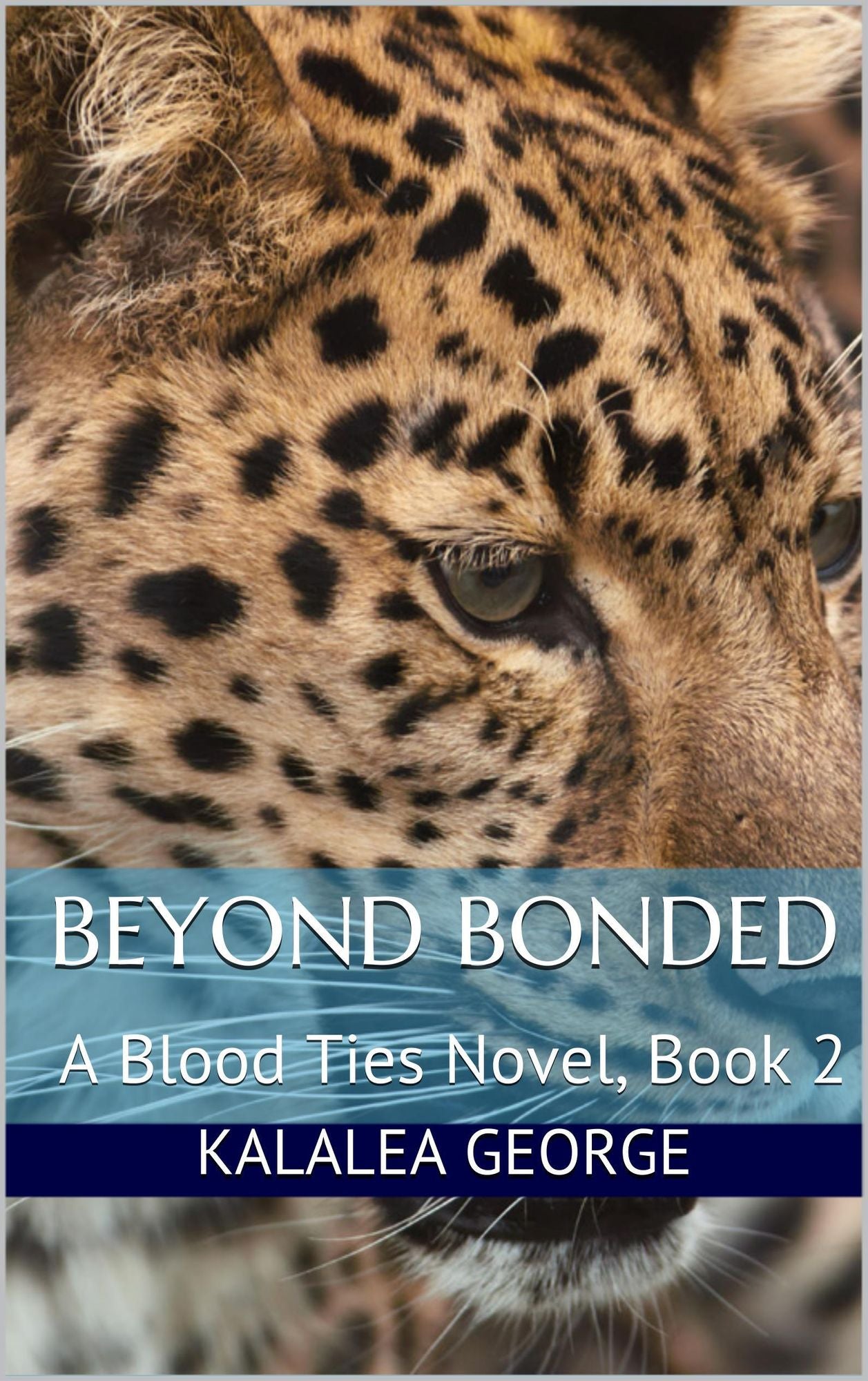 Beyond Bonded, A Blood Ties Novel, Book 2