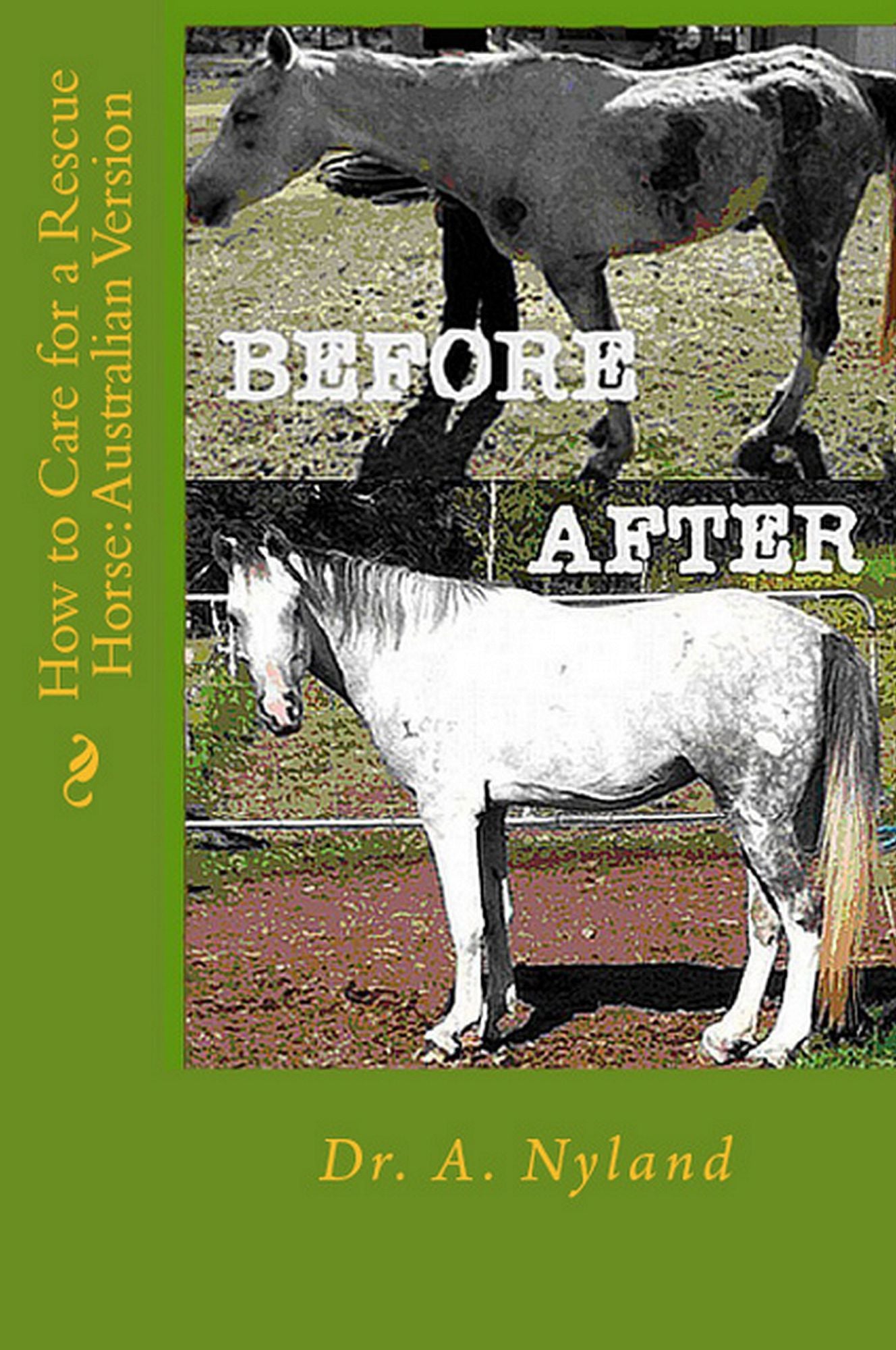 How to Care for a Rescue Horse in Australia