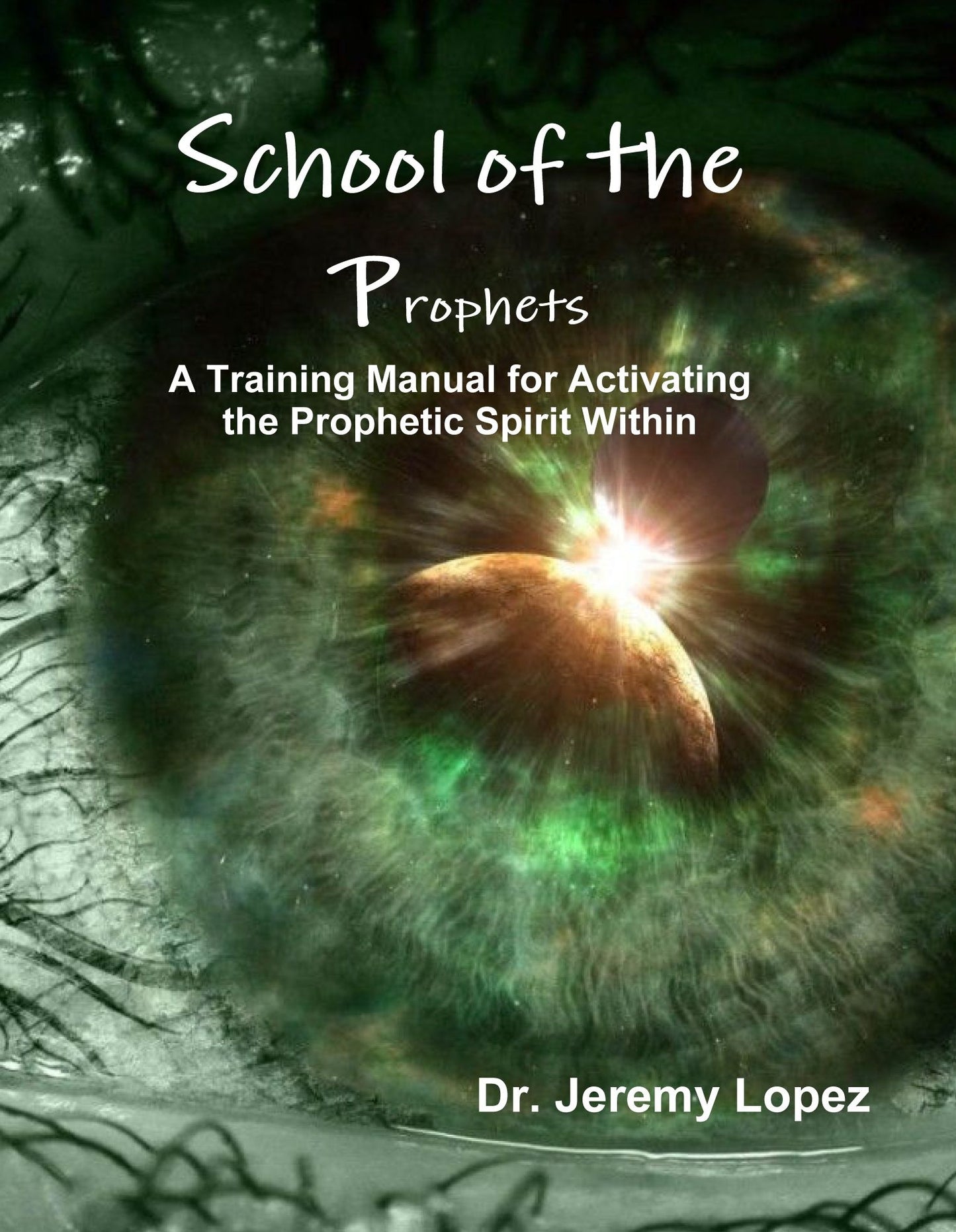 School of the Prophets A Training Manual for Activating the Prophetic Spirit Within