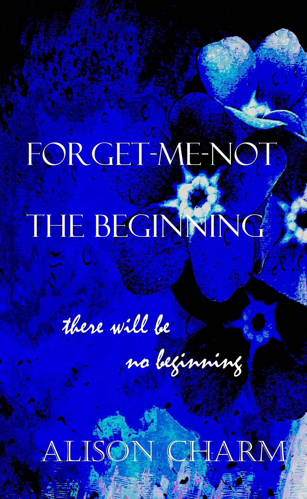 The Beginning (Forget Me Not Series #1)