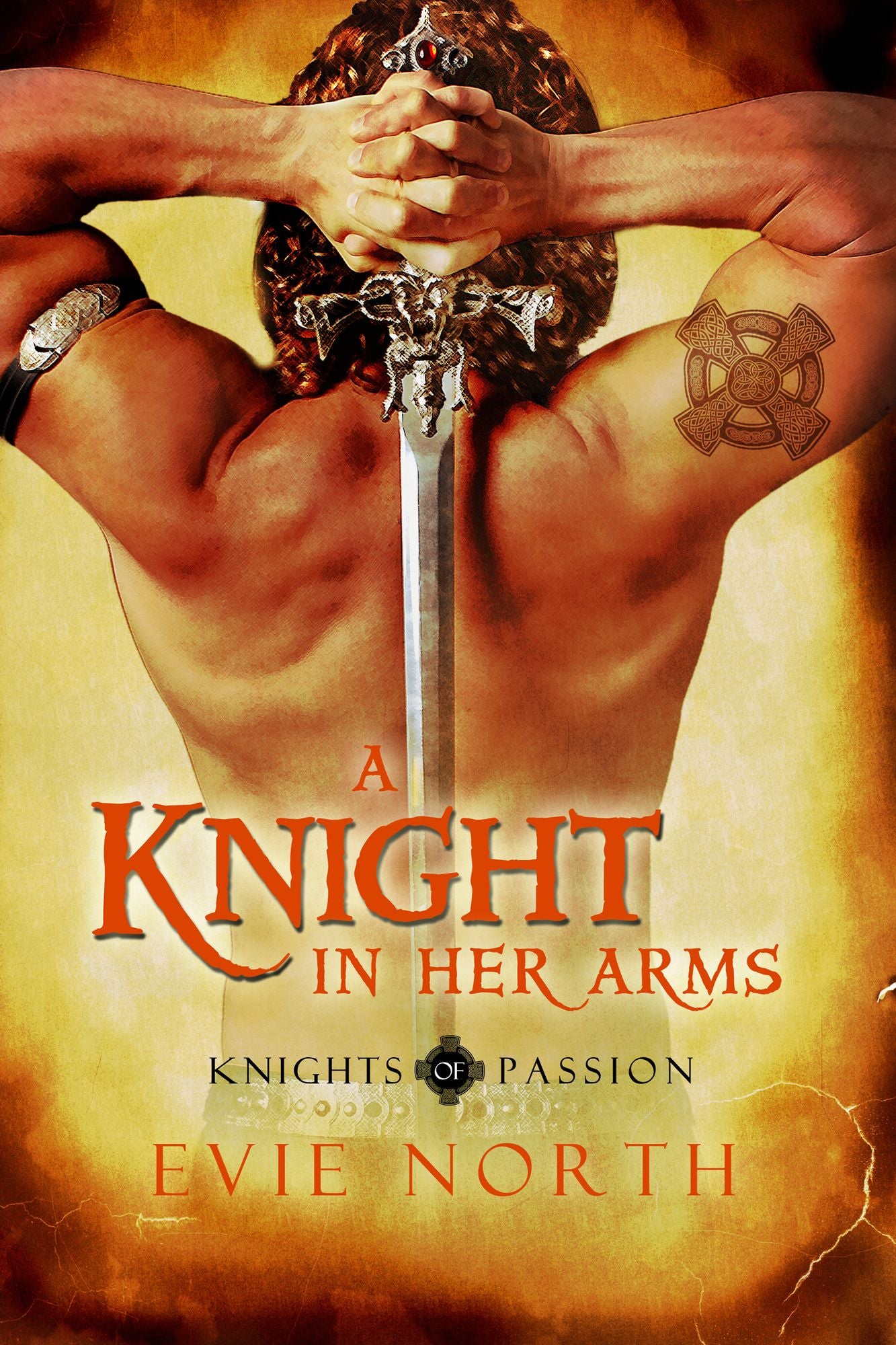A Knight In Her Arms