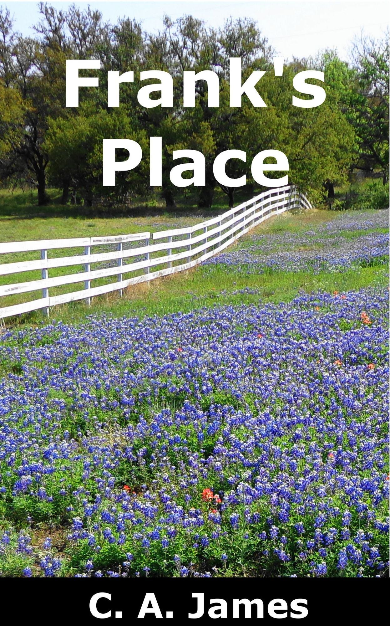 Frank's Place