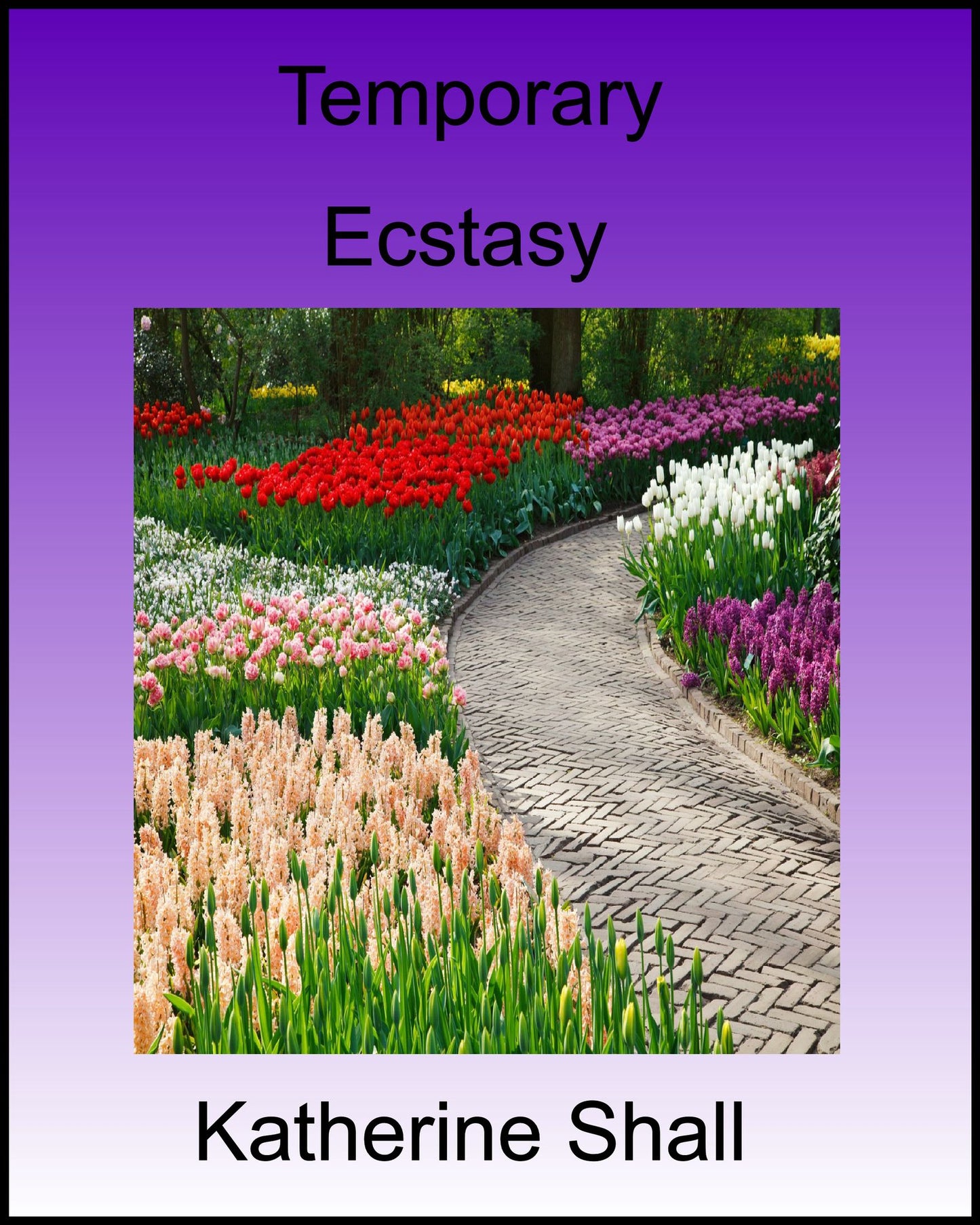 Temporary Ecstasy
