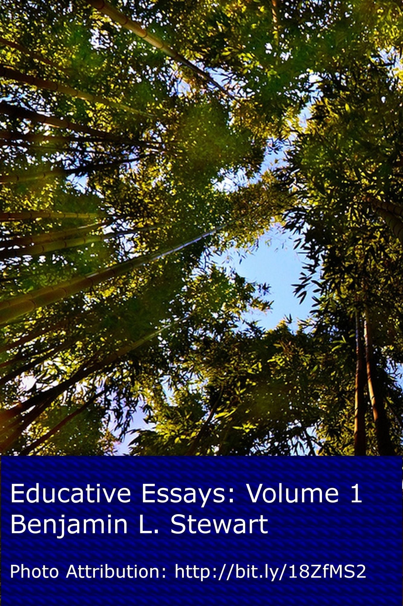 Educative Essays: Volume 1