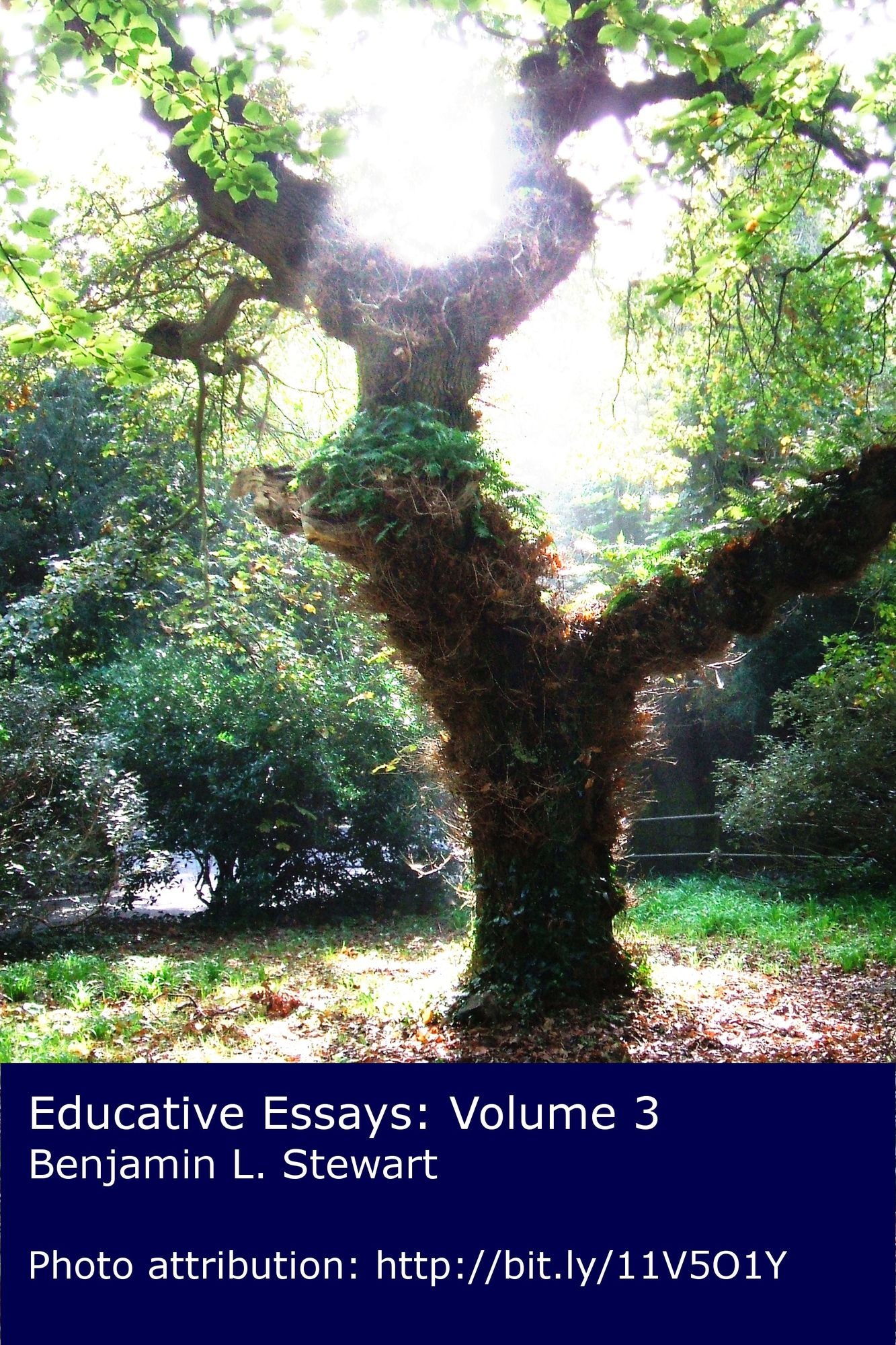 Educative Essays: Volume 3