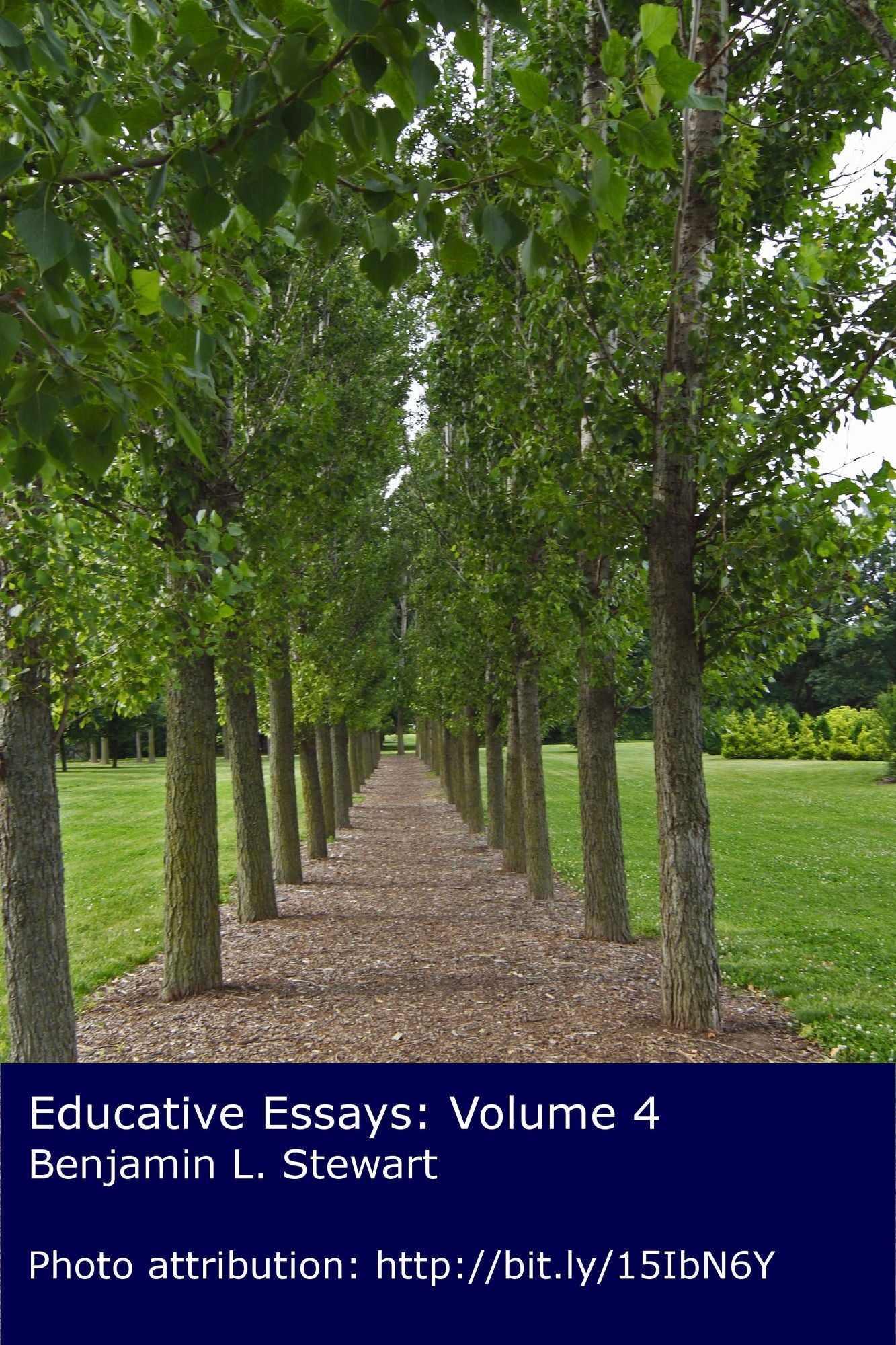 Educative Essays: Volume 4