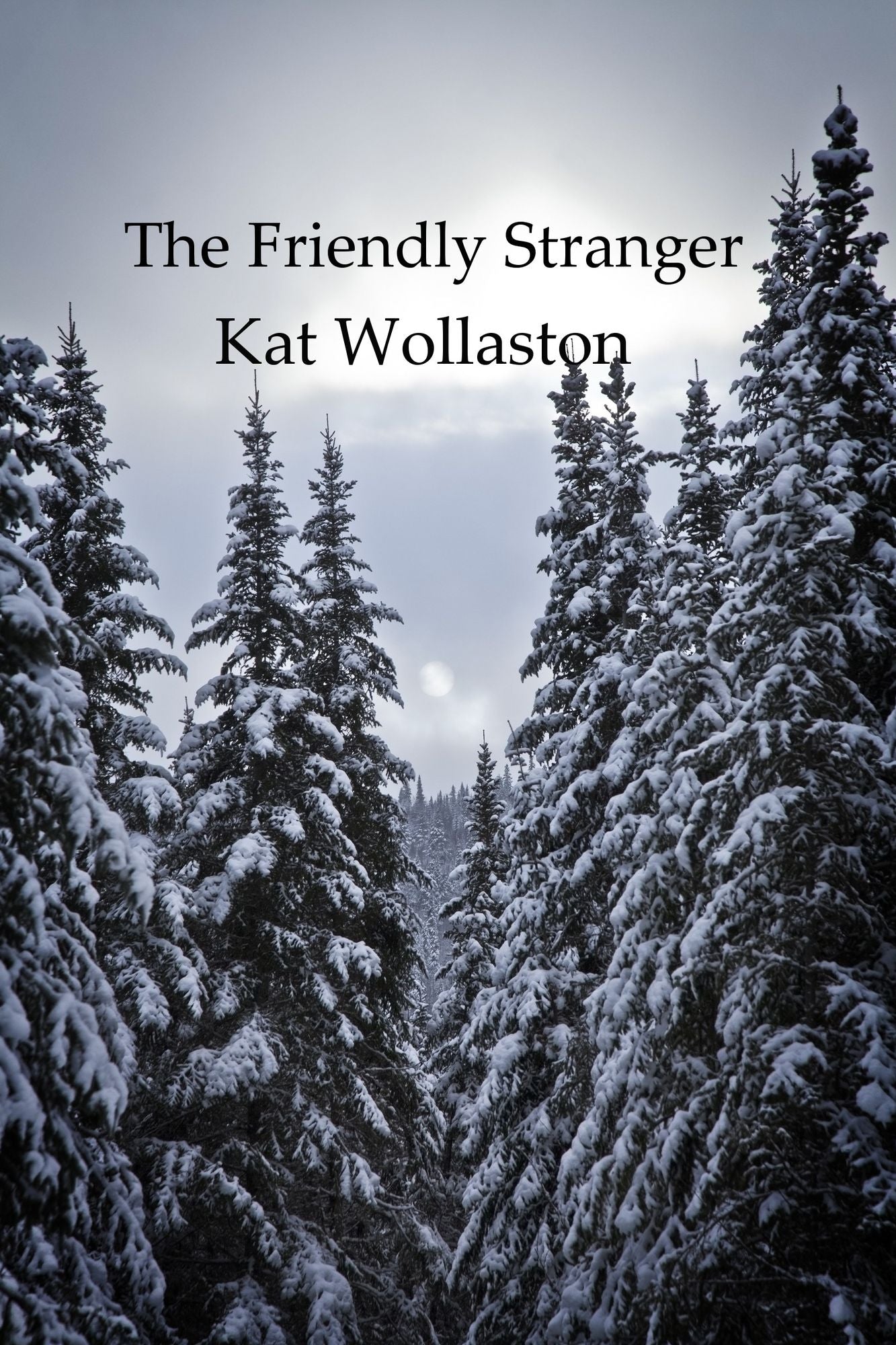 The Friendly Stranger