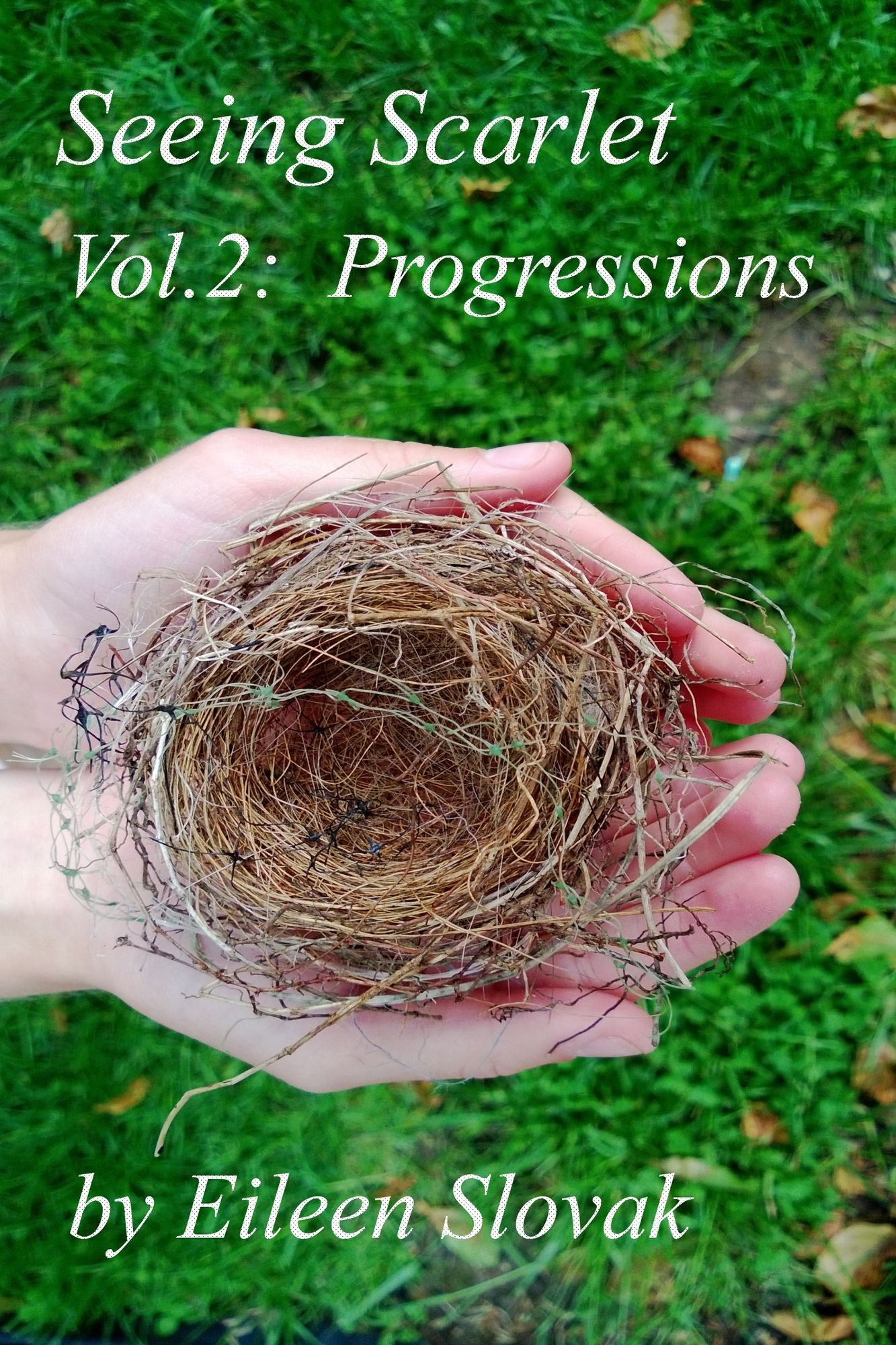 Seeing Scarlet, Volume Two: Progressions