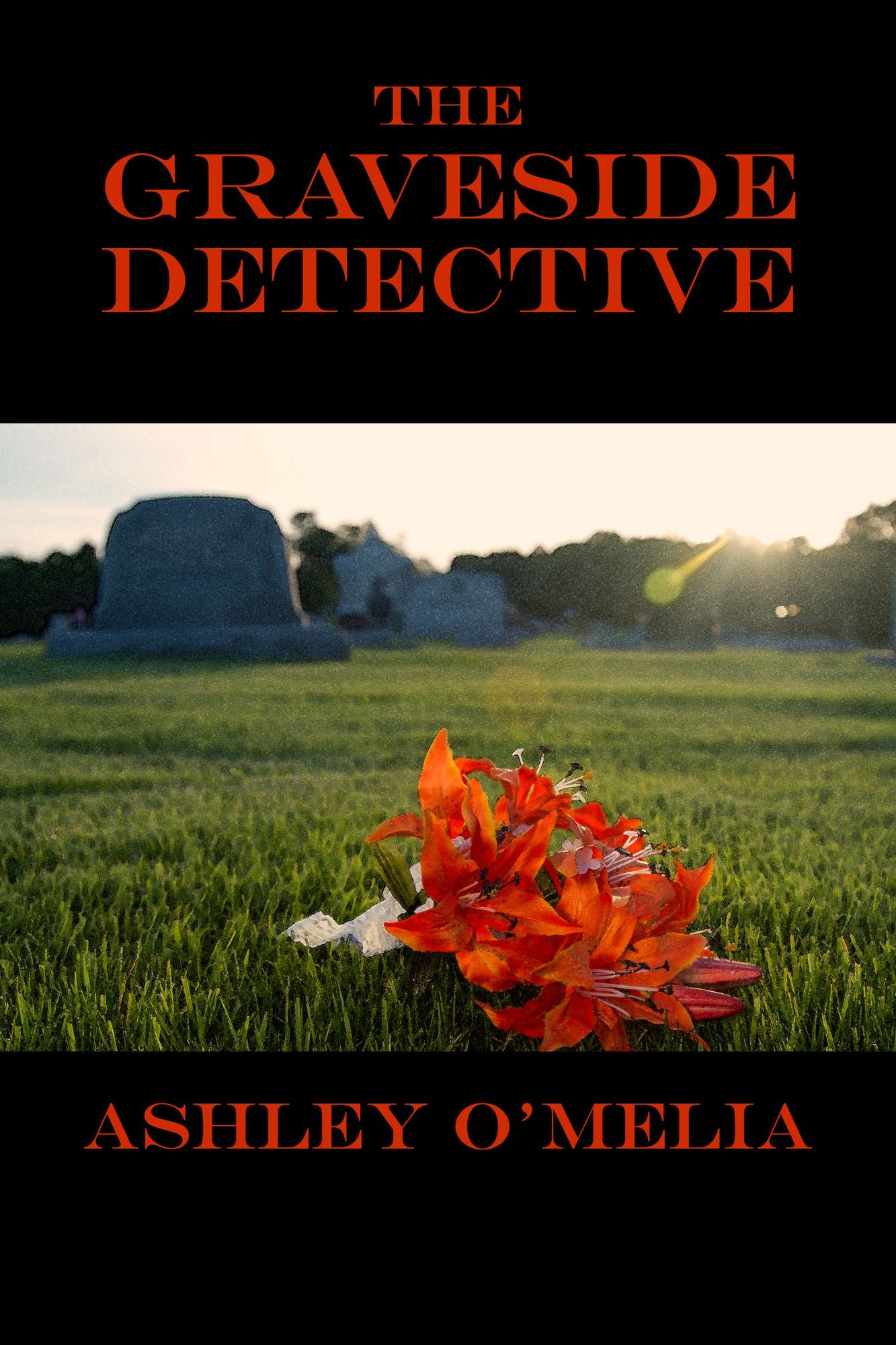 The Graveside Detective