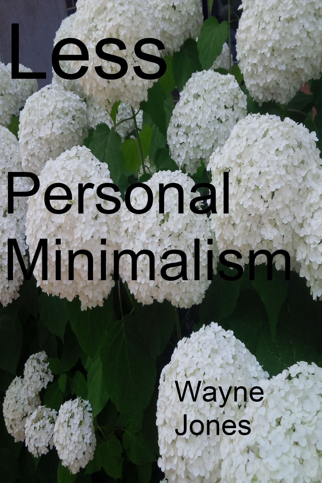 Less: A Book about Personal Minimalism