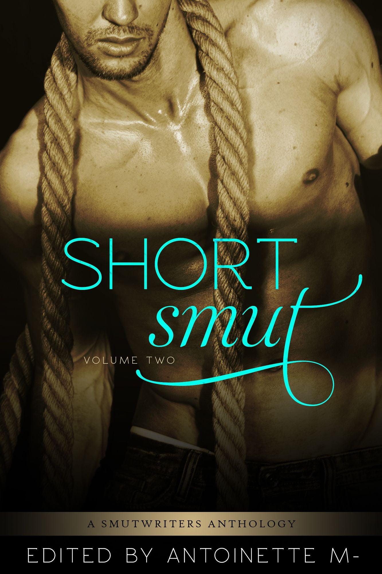 Short Smut, Vol. 2