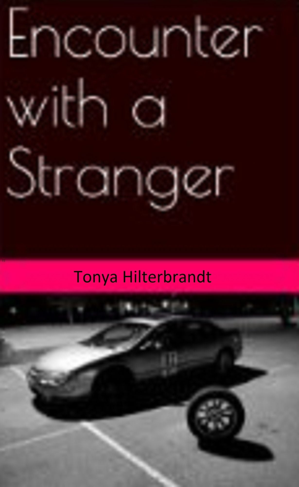 Encounter with a Stranger