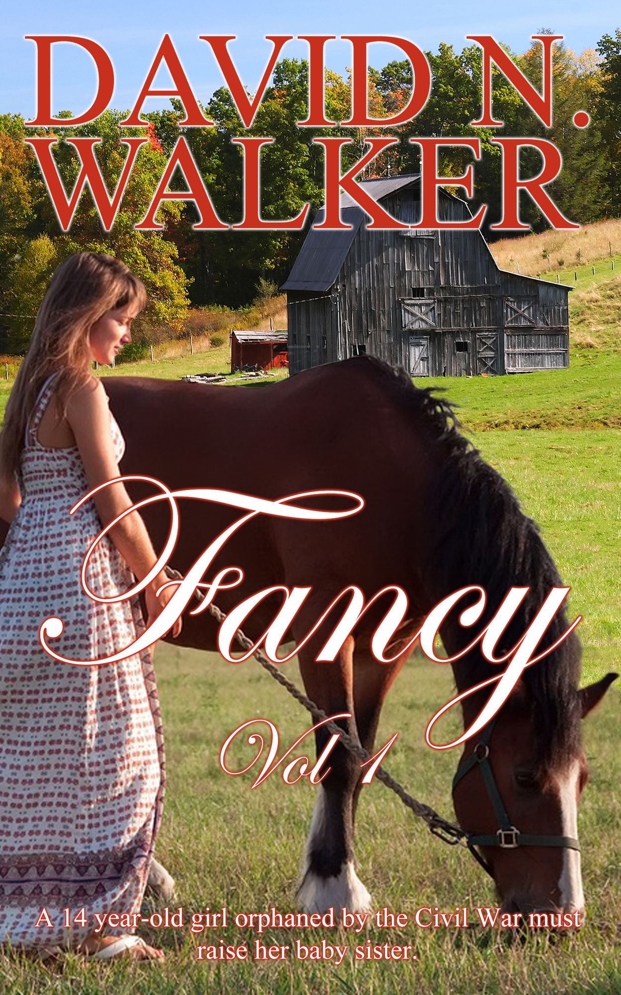 Fancy Vol 1