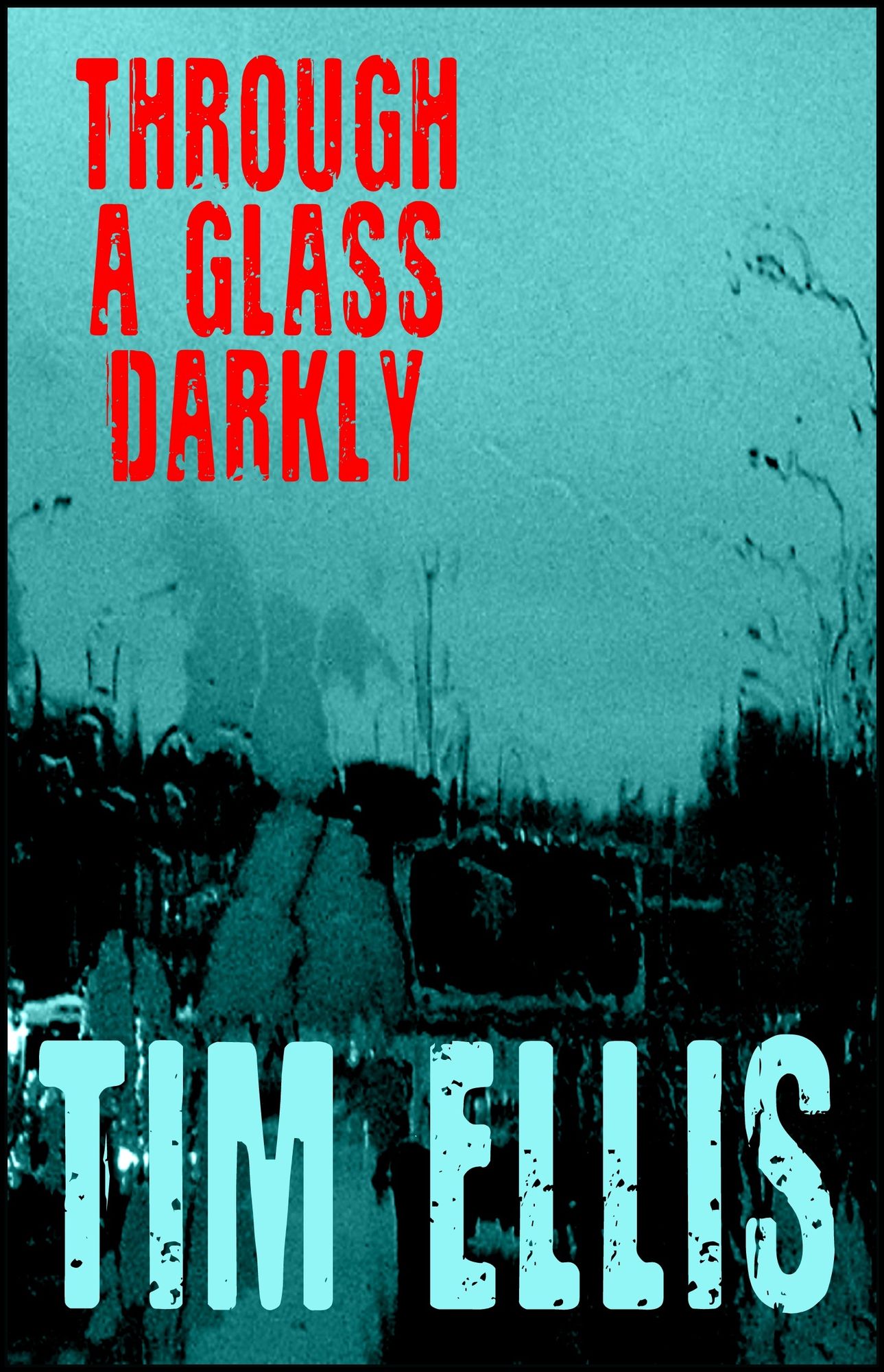 Through a Glass Darkly (P&R10)