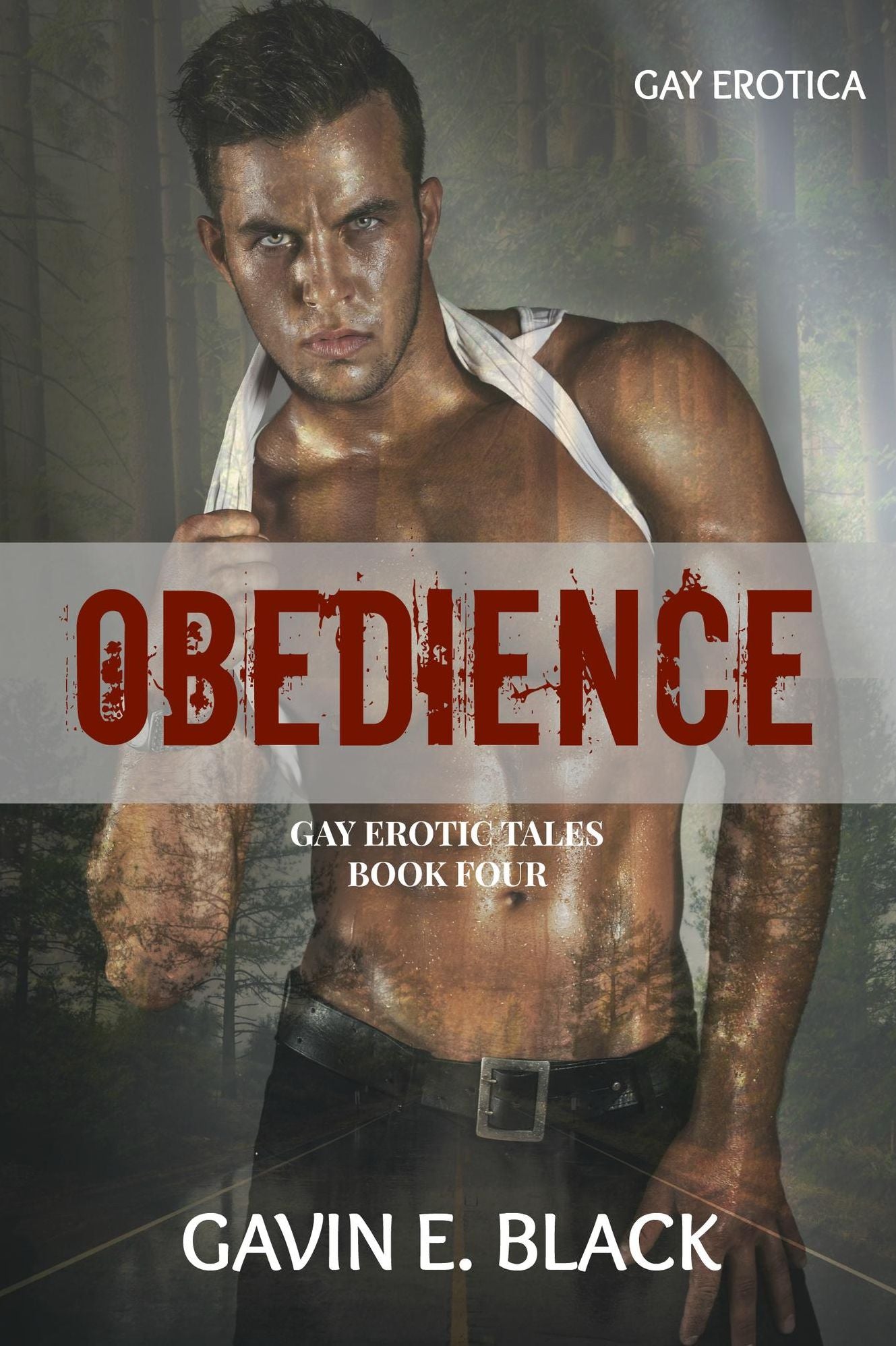 Obedience: Gay Erotic Tales #4: Gay Erotica